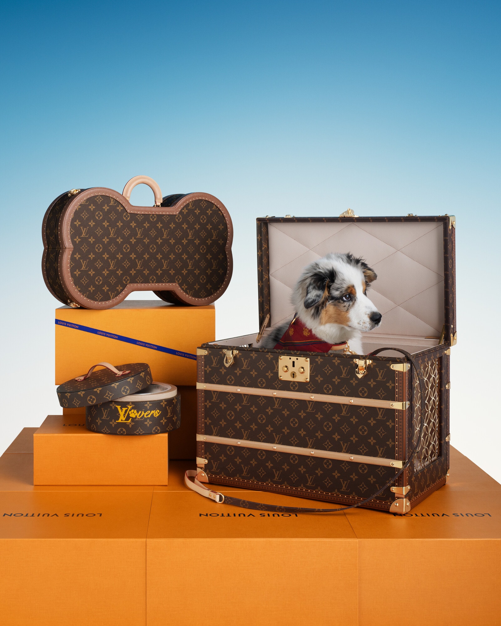 Brown Gifts for Pets Gifts for Pets | LOUIS VUITTON