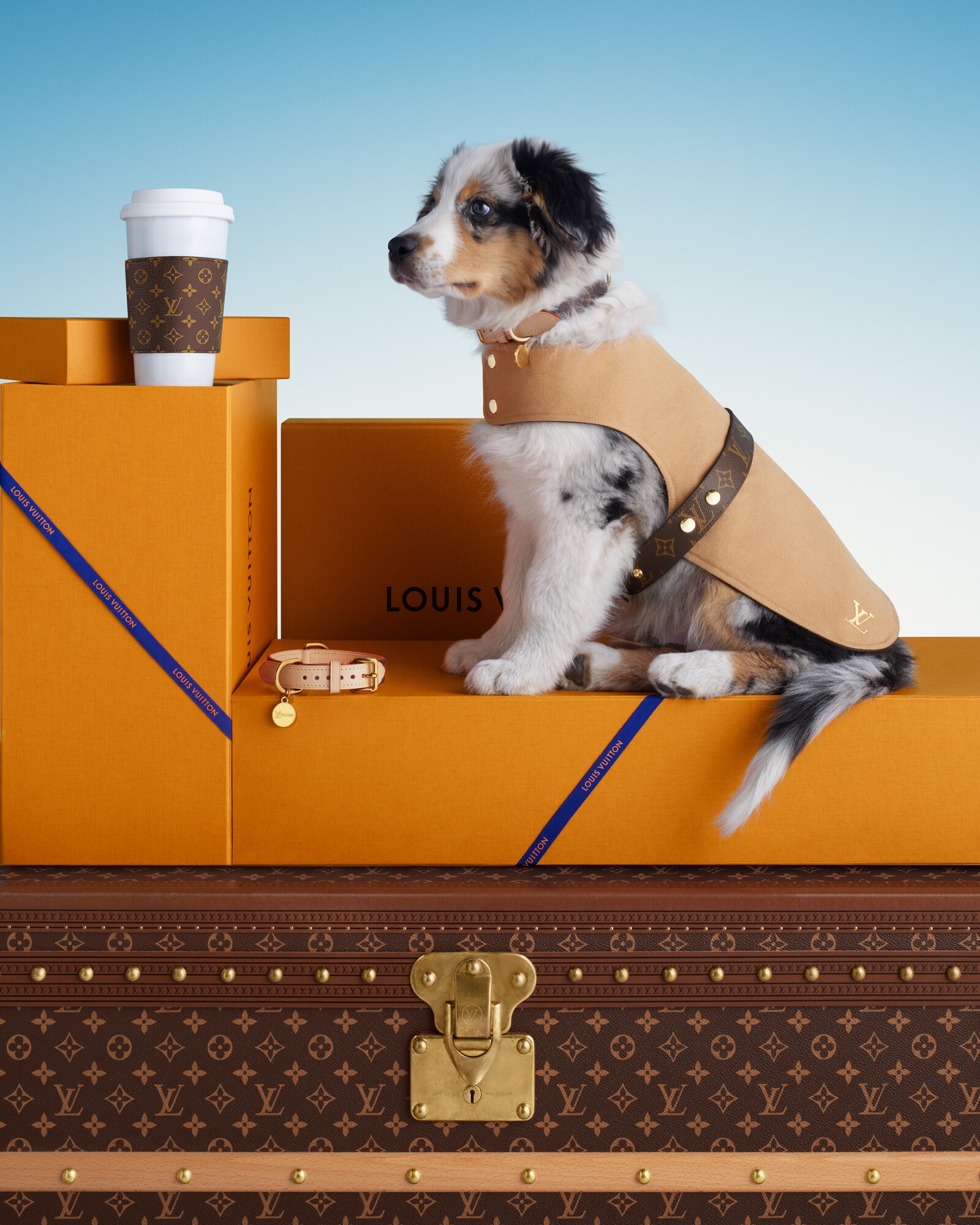 Louis Vuitton ブラウンレザー ドッグリード Brown Gifts for Pets Gifts for Pets | LOUIS VUITTON