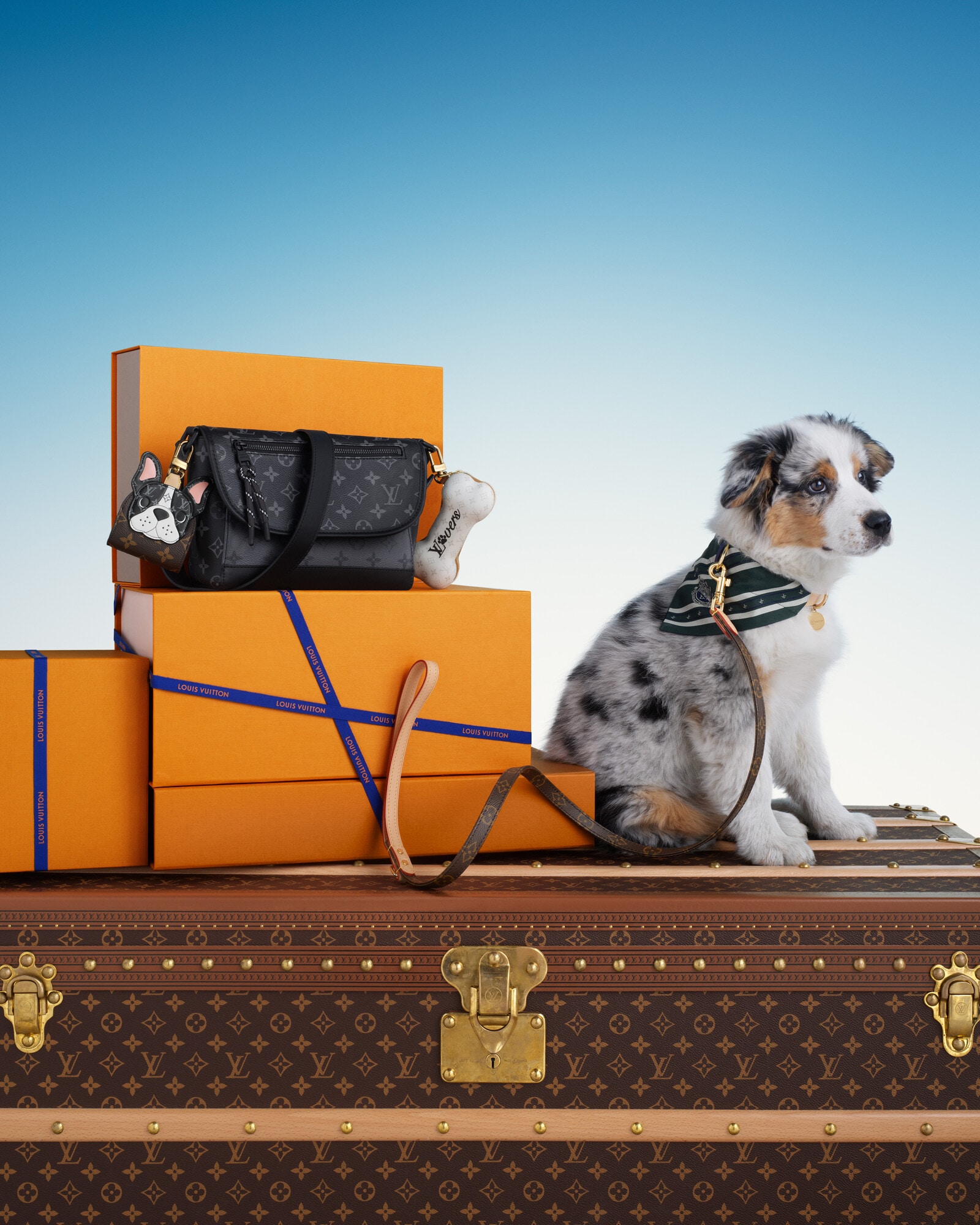 Brown Gifts for Pets Gifts for Pets | LOUIS VUITTON