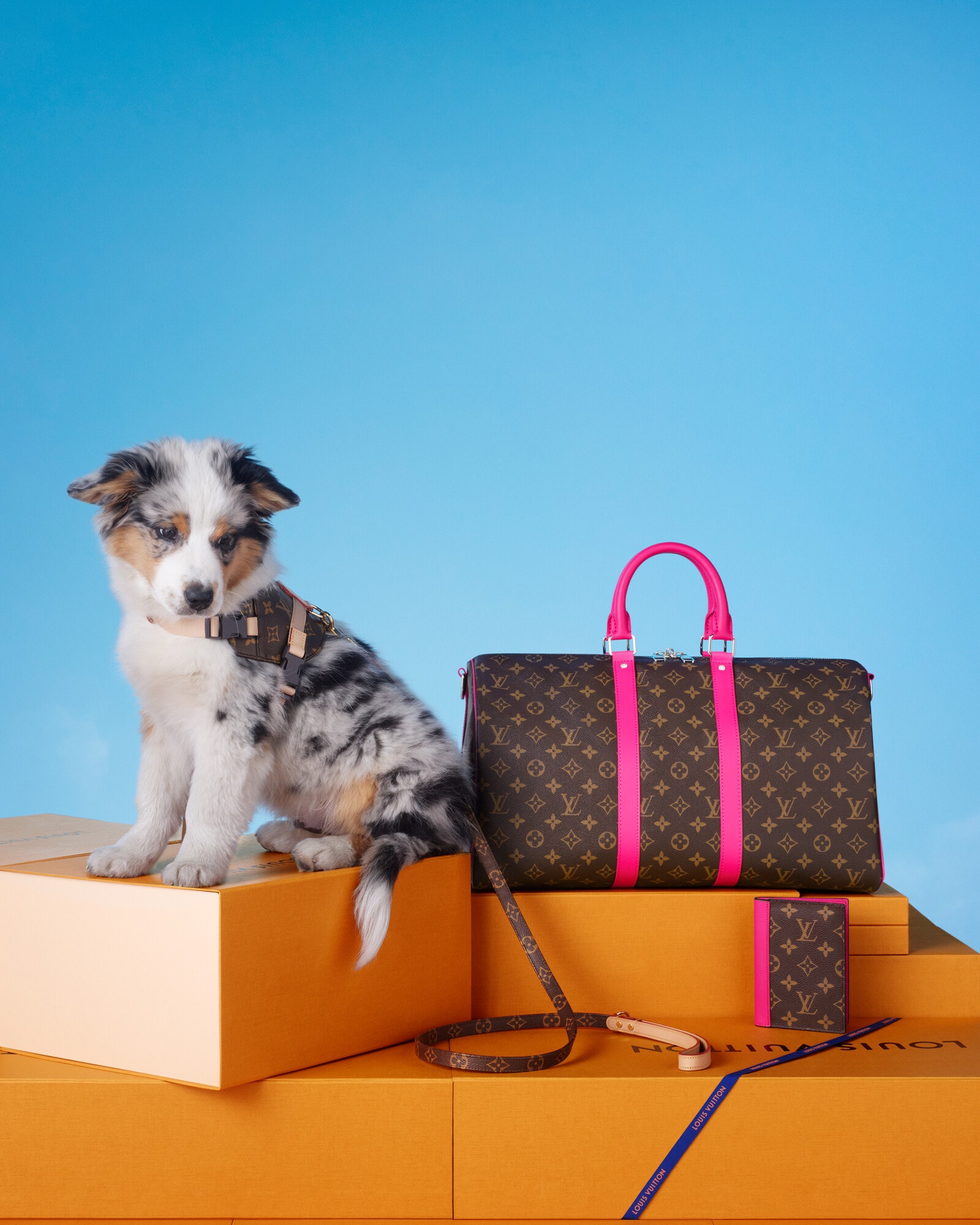 Gifts for Pets Collection for Gifts | LOUIS VUITTON
