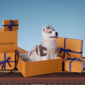 Gifts for Pets Collection for Gifts | LOUIS VUITTON