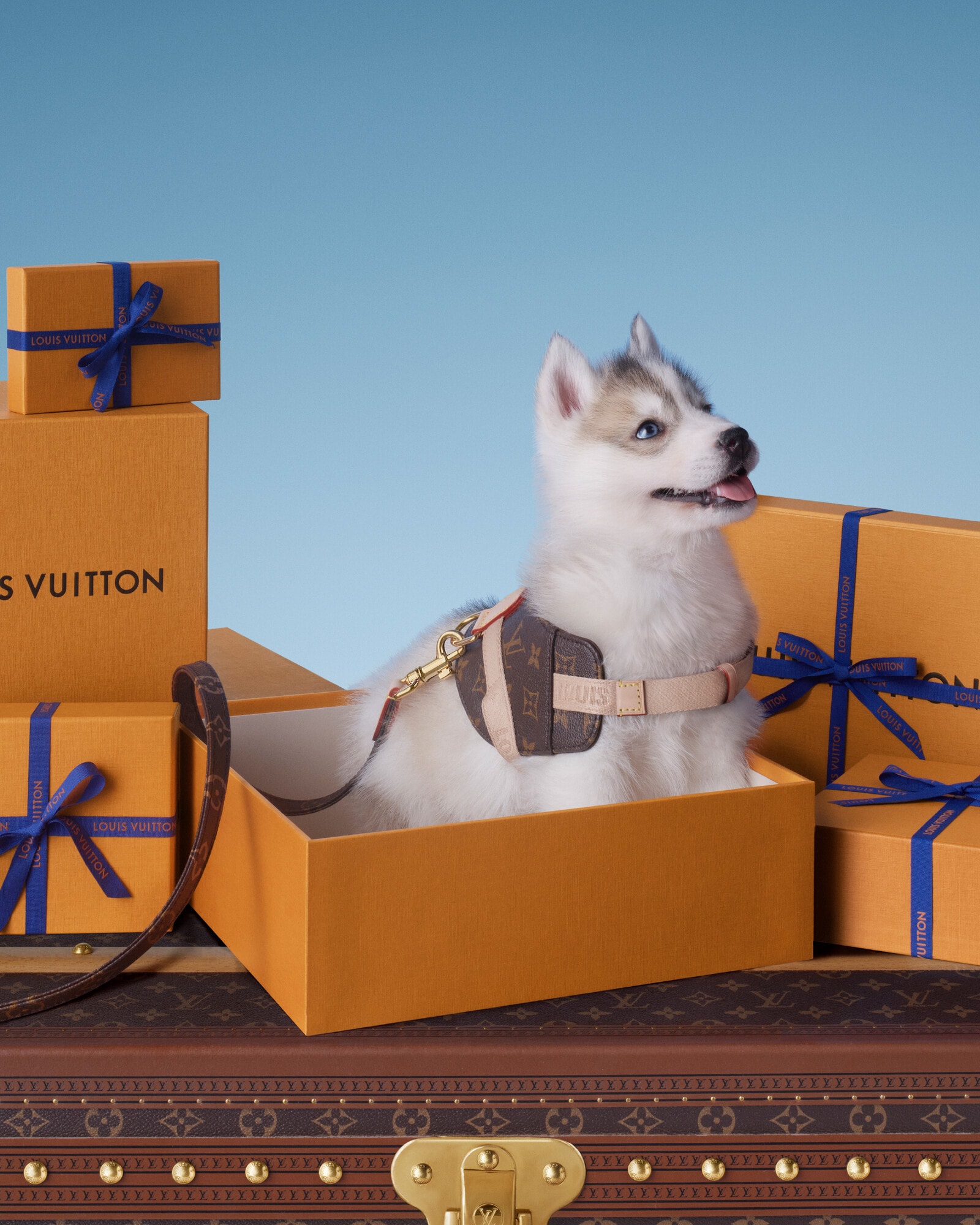 Gifts for Pets Collection for Gifts | LOUIS VUITTON
