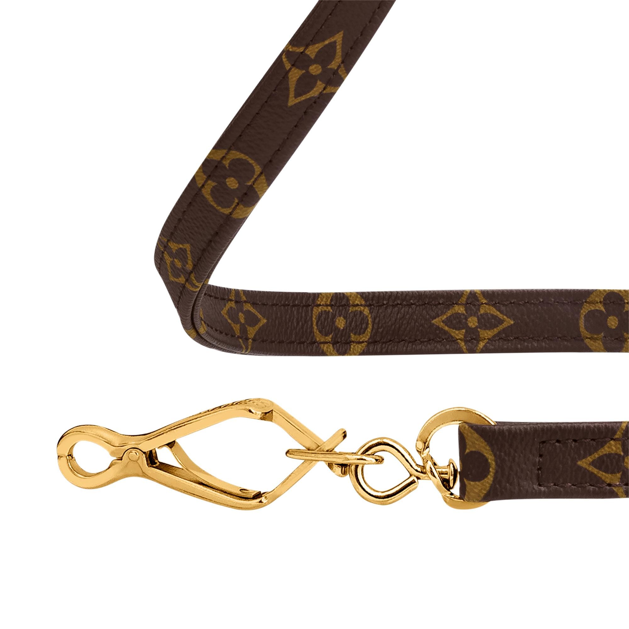 baxter dog collar gm