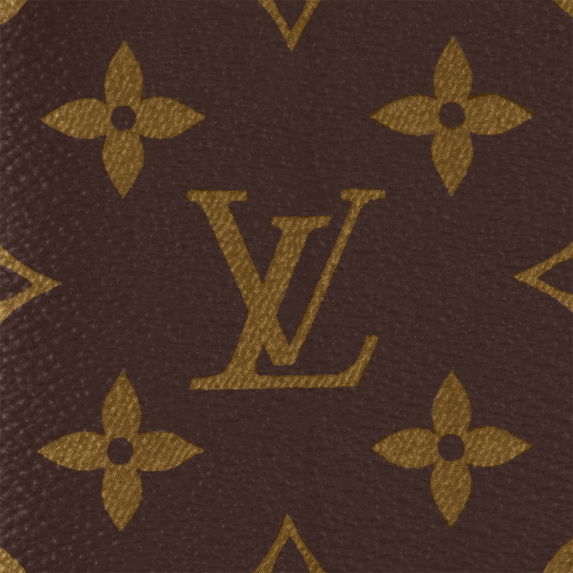 Brazza Wallet Monogram Canvas in Bags and Small Leather Goods