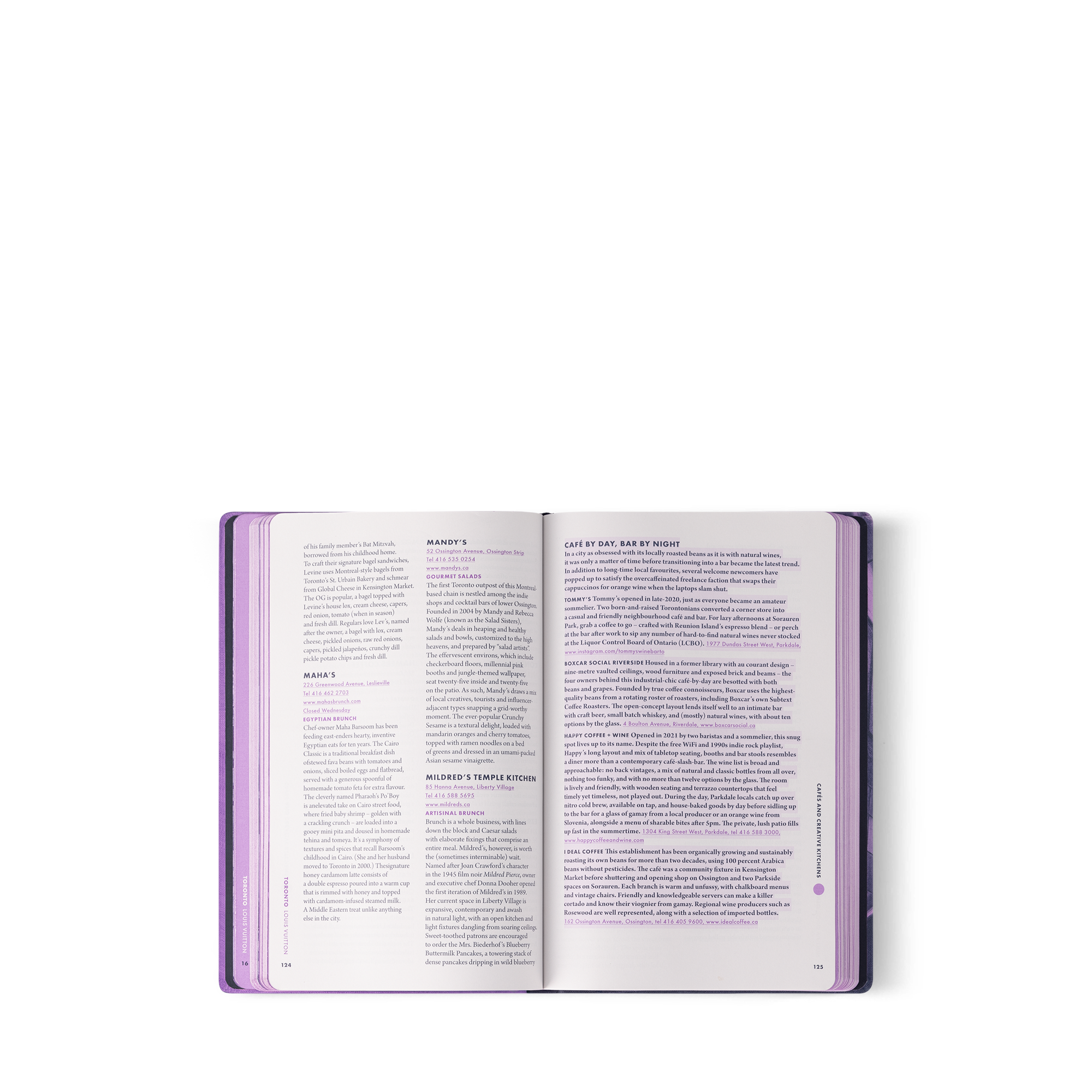 City Guide Toronto  in Trunks, Travel and Home