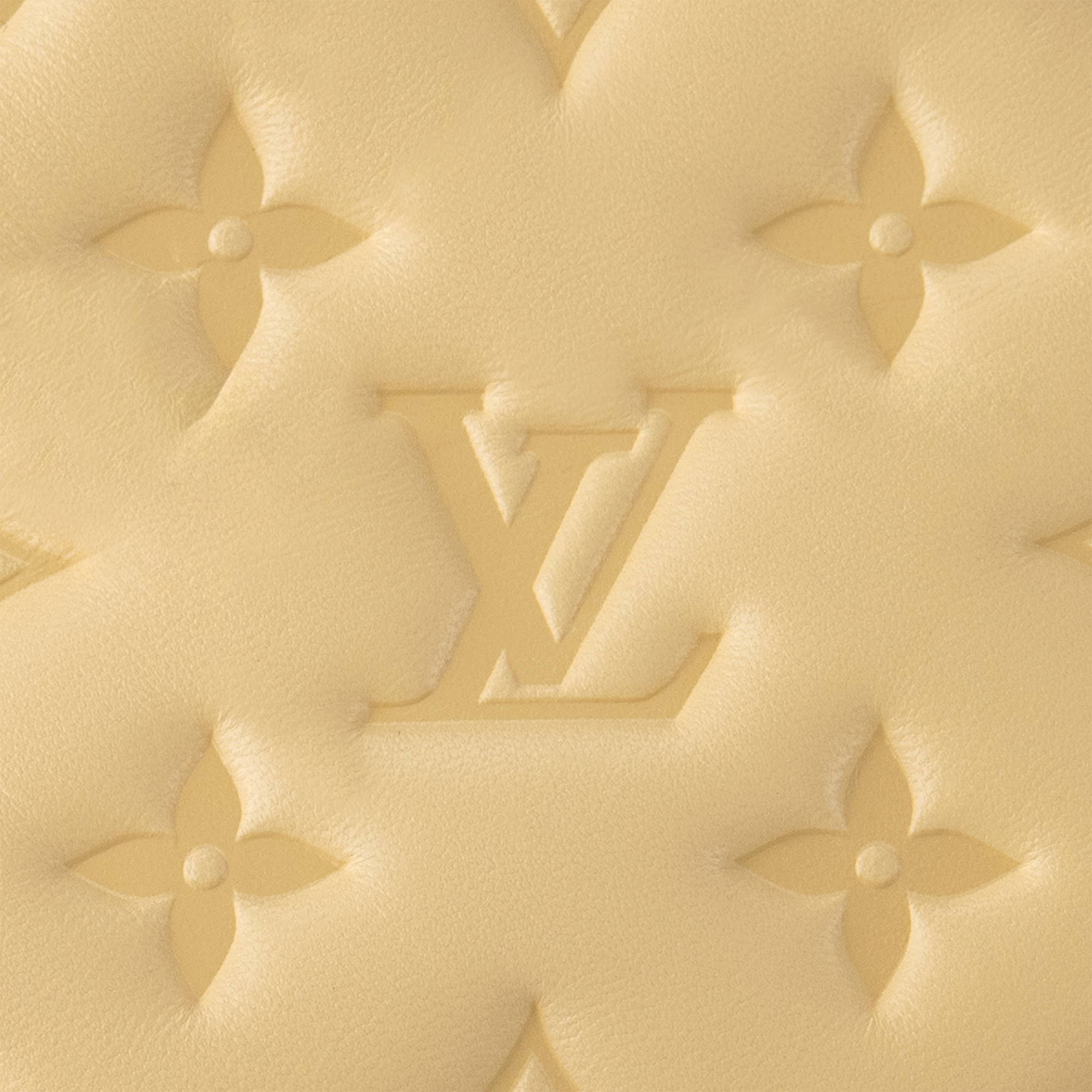 Coussin PM H32 in Bags and Small Leather Goods