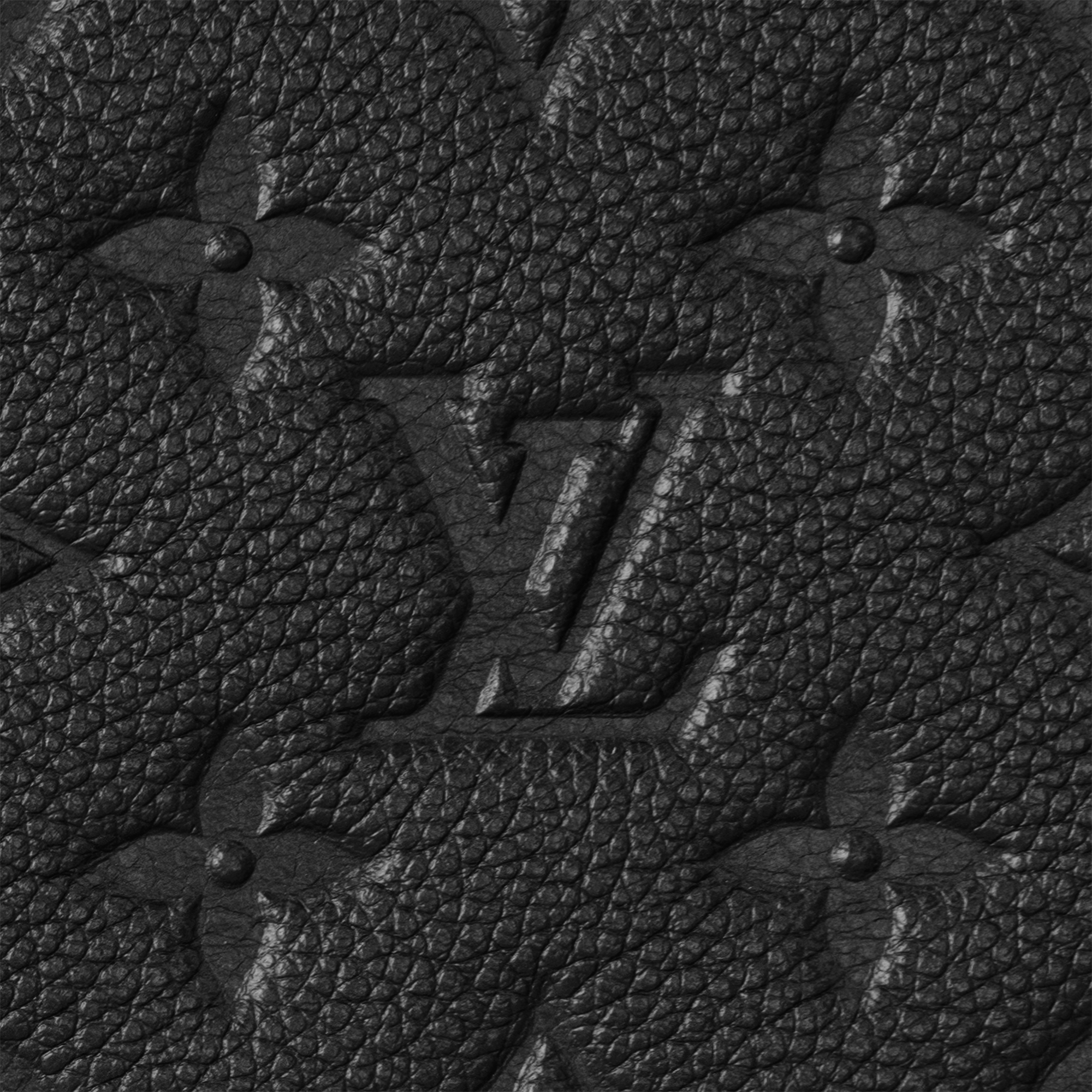 Daily Pouch Monogram Empreinte Leather in Women