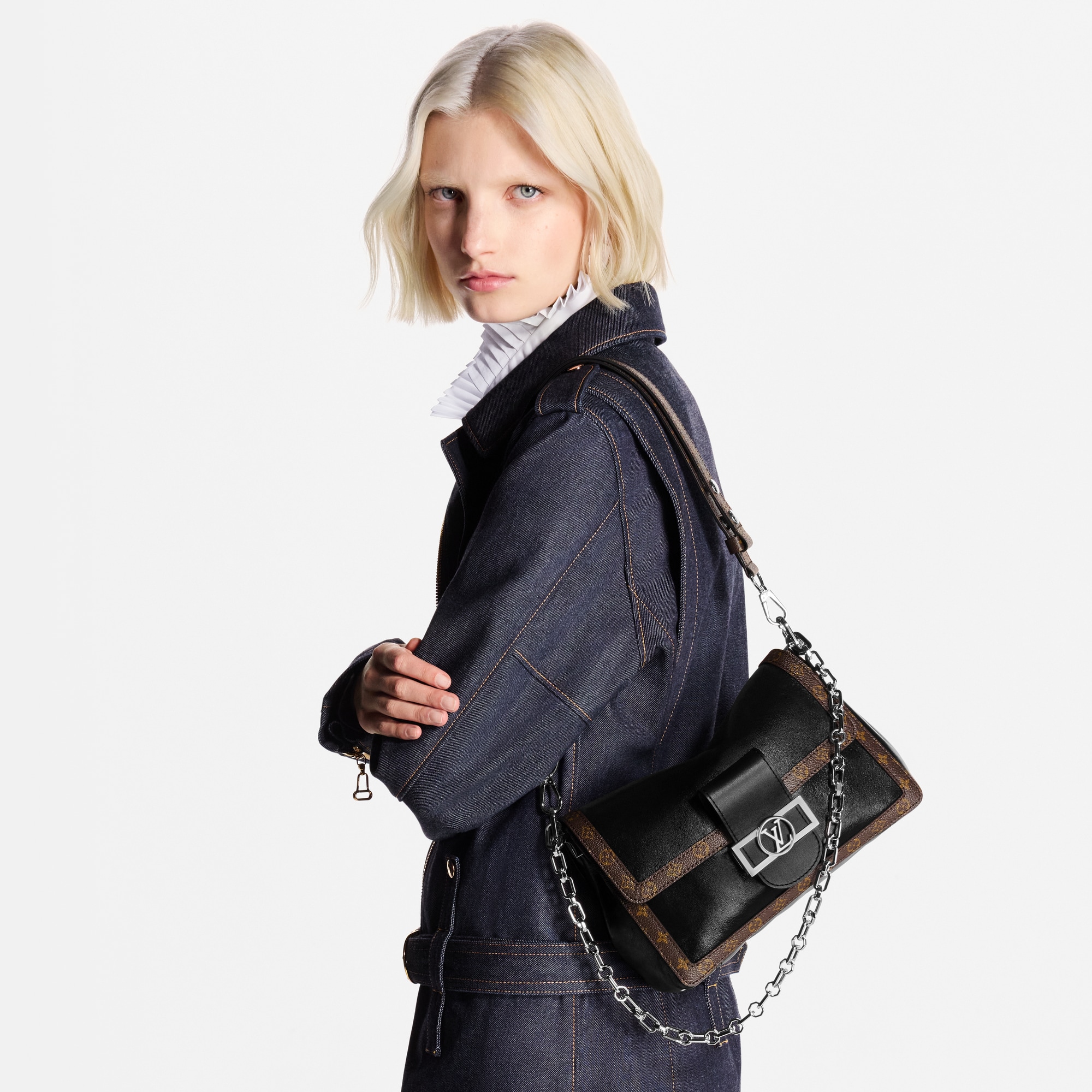 Dauphine Soft Vibe MM LV Vibe in Bags and Small Leather Goods