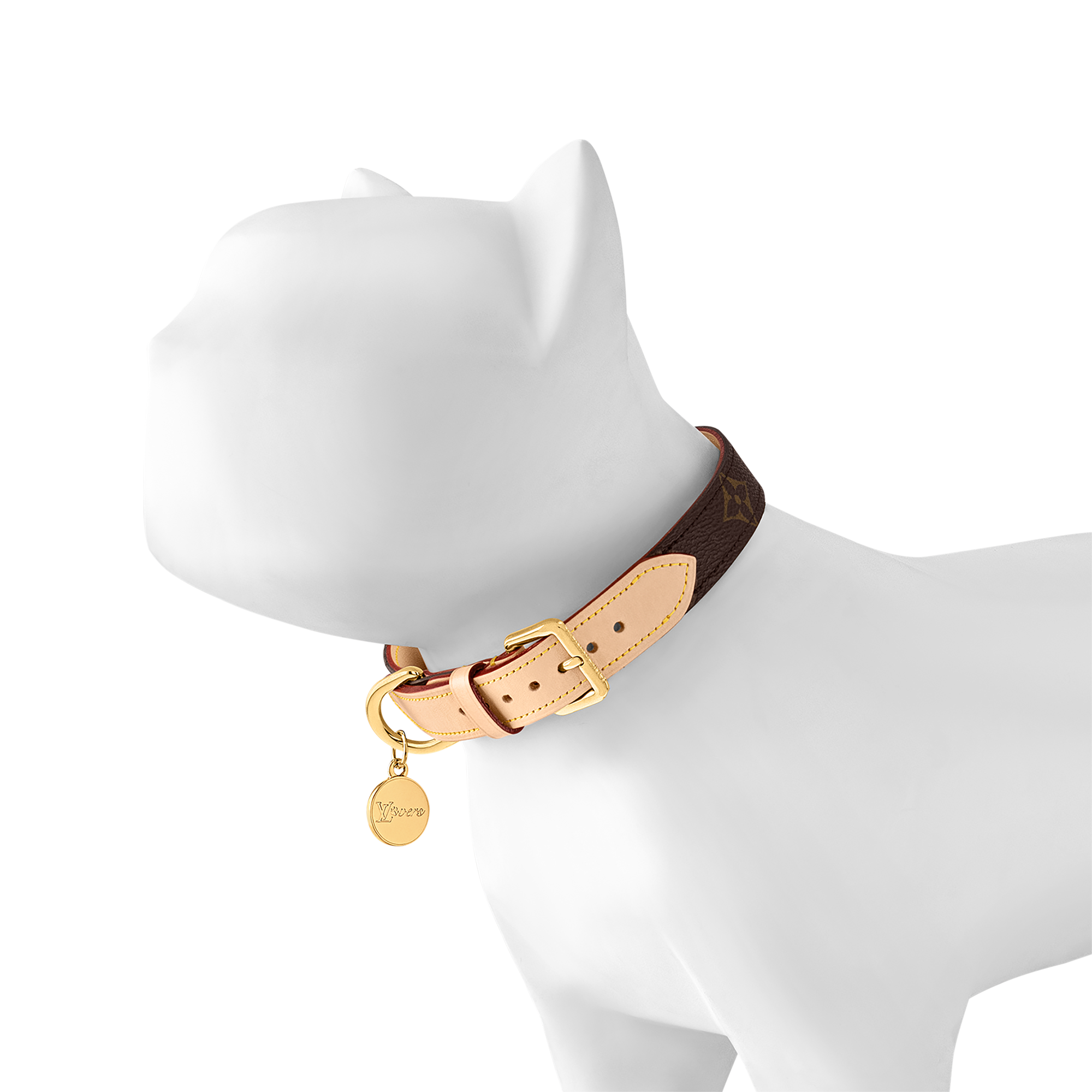 Dog Collar MM  in Trunks, Travel and Home