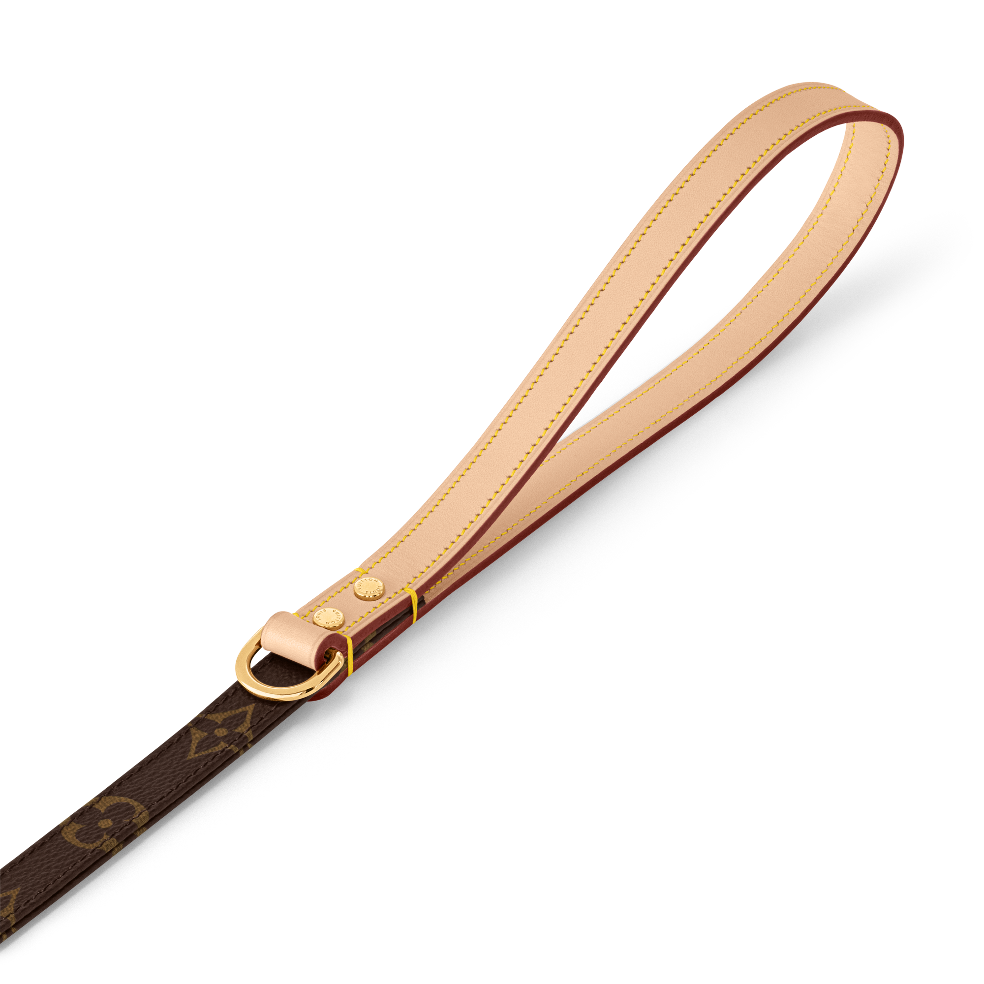 Dog Leash MM  in Trunks, Travel and Home