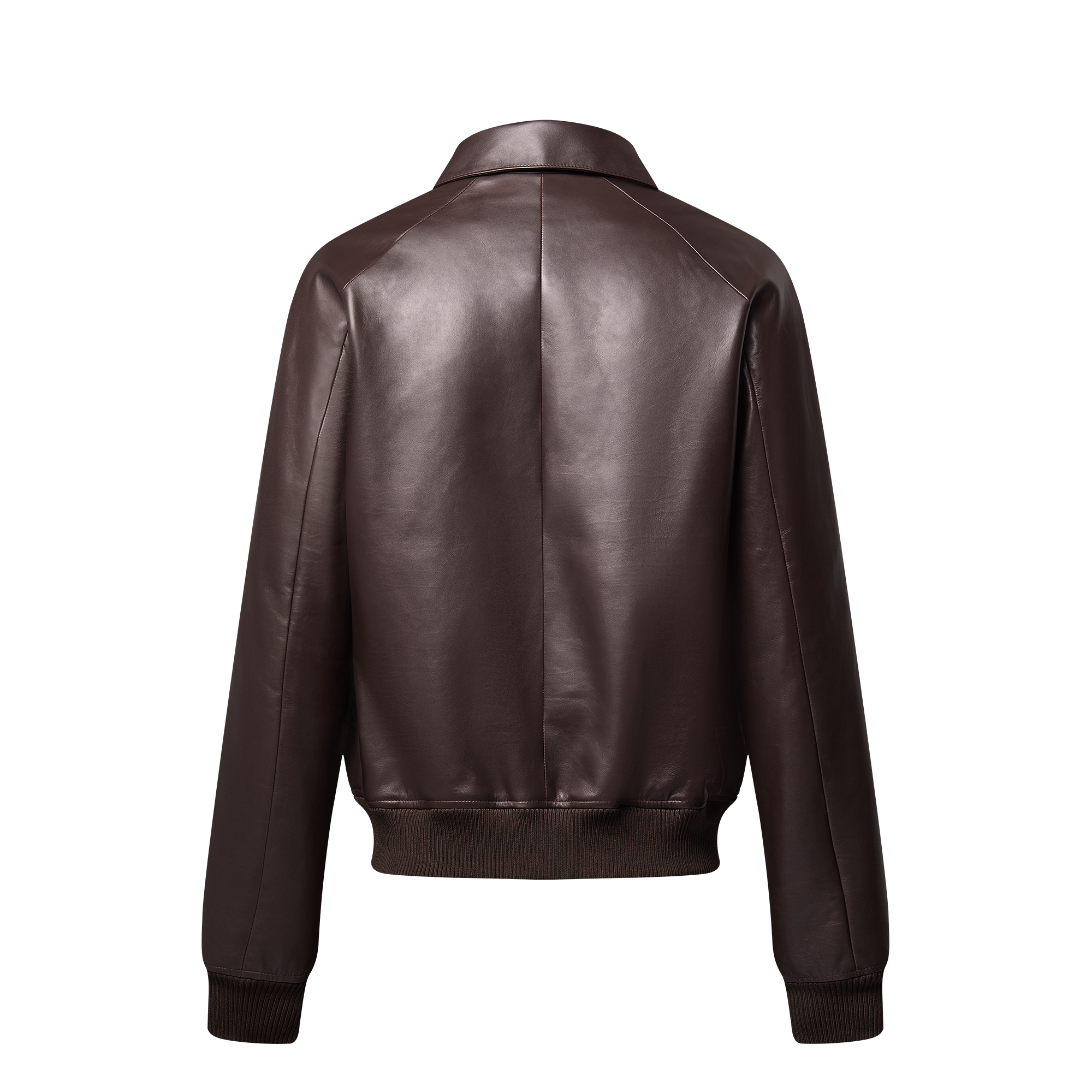 Elegant Leather Bomber  in Men