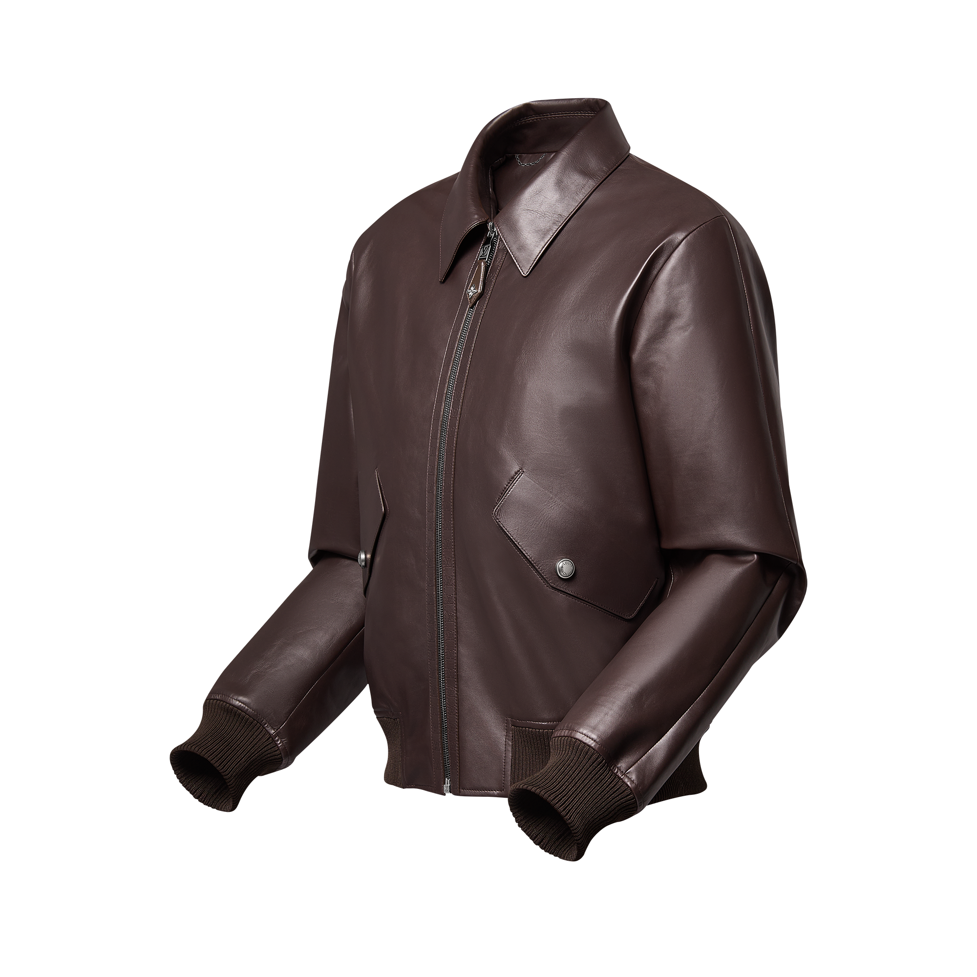 Elegant Leather Bomber  in Men