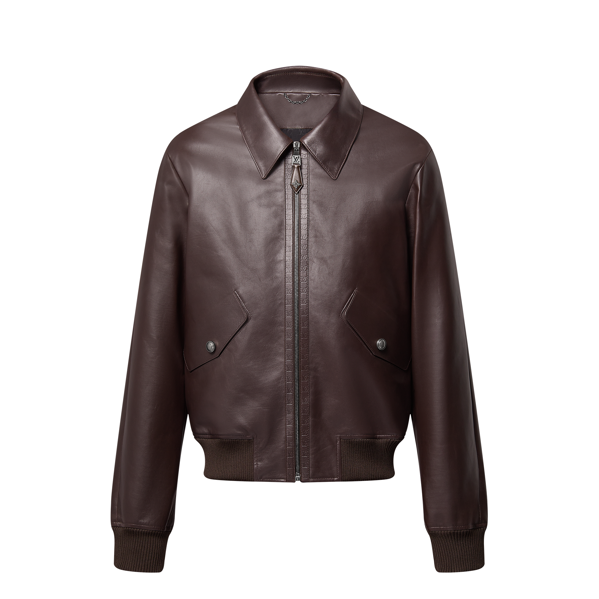 Elegant Leather Bomber  in Men