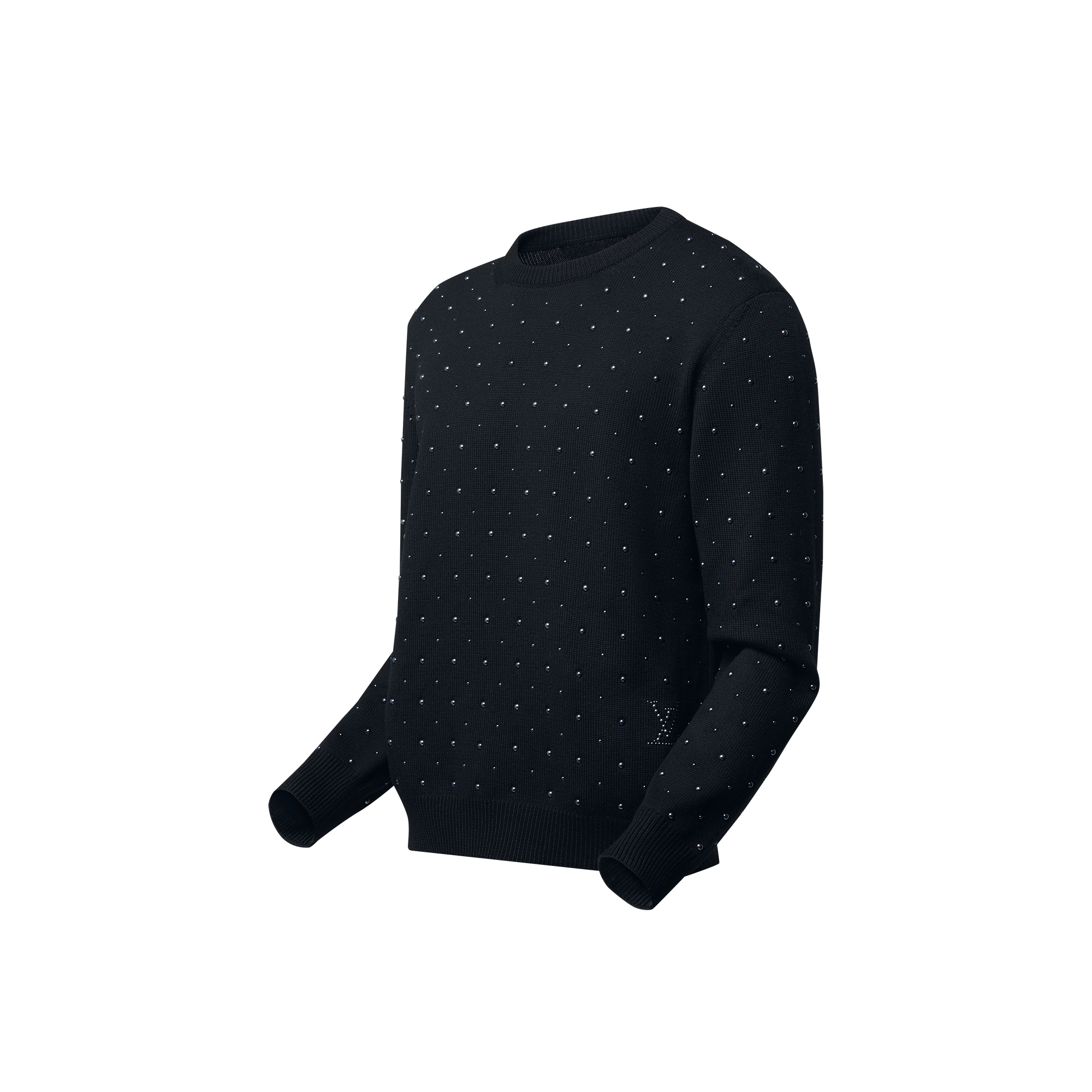 Embellished Crewneck  in Men