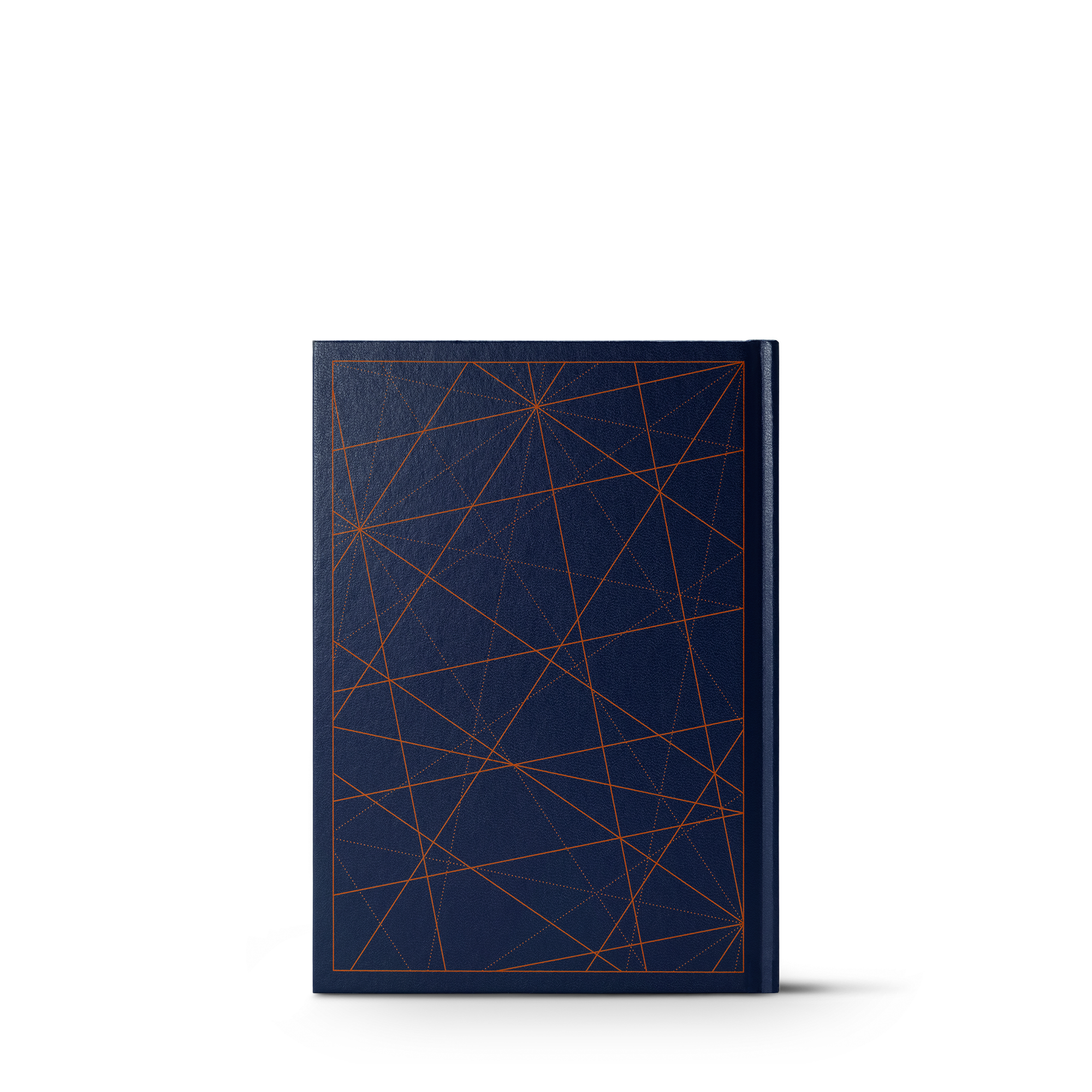 Extraordinary Voyages  in Trunks, Travel and Home