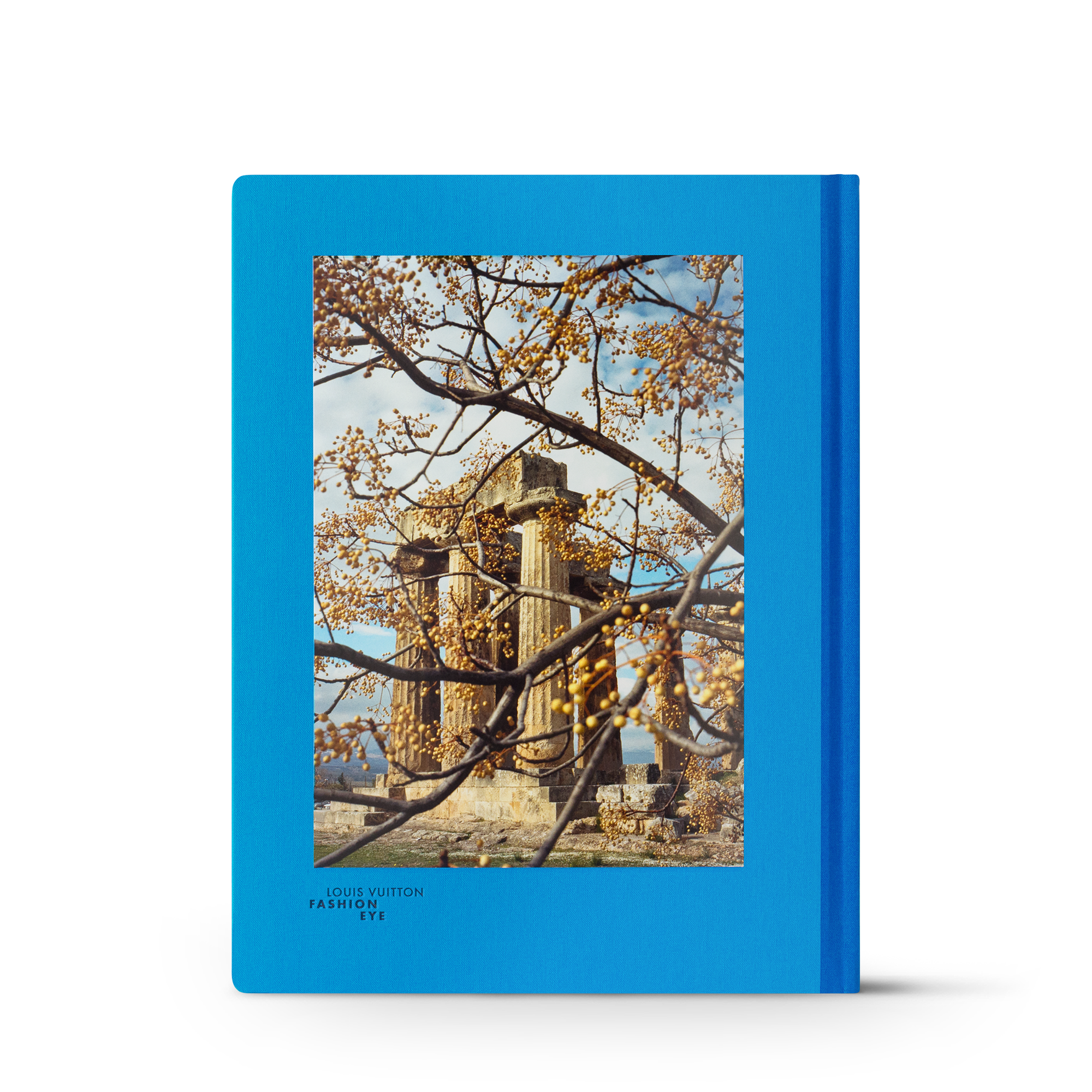 Fashion Eye Greece  in Trunks, Travel and Home