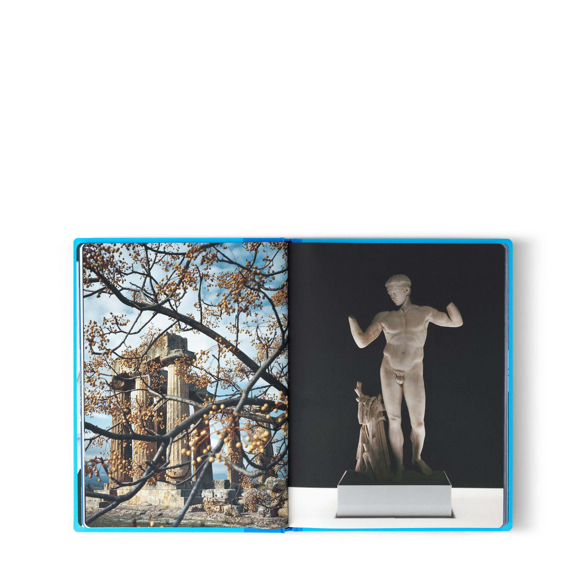 Fashion Eye Greece  in Trunks, Travel and Home