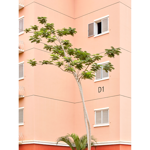 Fashion Eye Kilamba in Trunks, Travel and Home's Library Fashion Eye collections by Louis Vuitton (Product zoom)