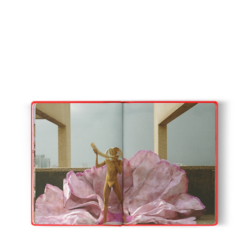 Fashion Eye Lagos in Trunks, Travel and Home's Library Fashion Eye collections by Louis Vuitton (Product zoom)