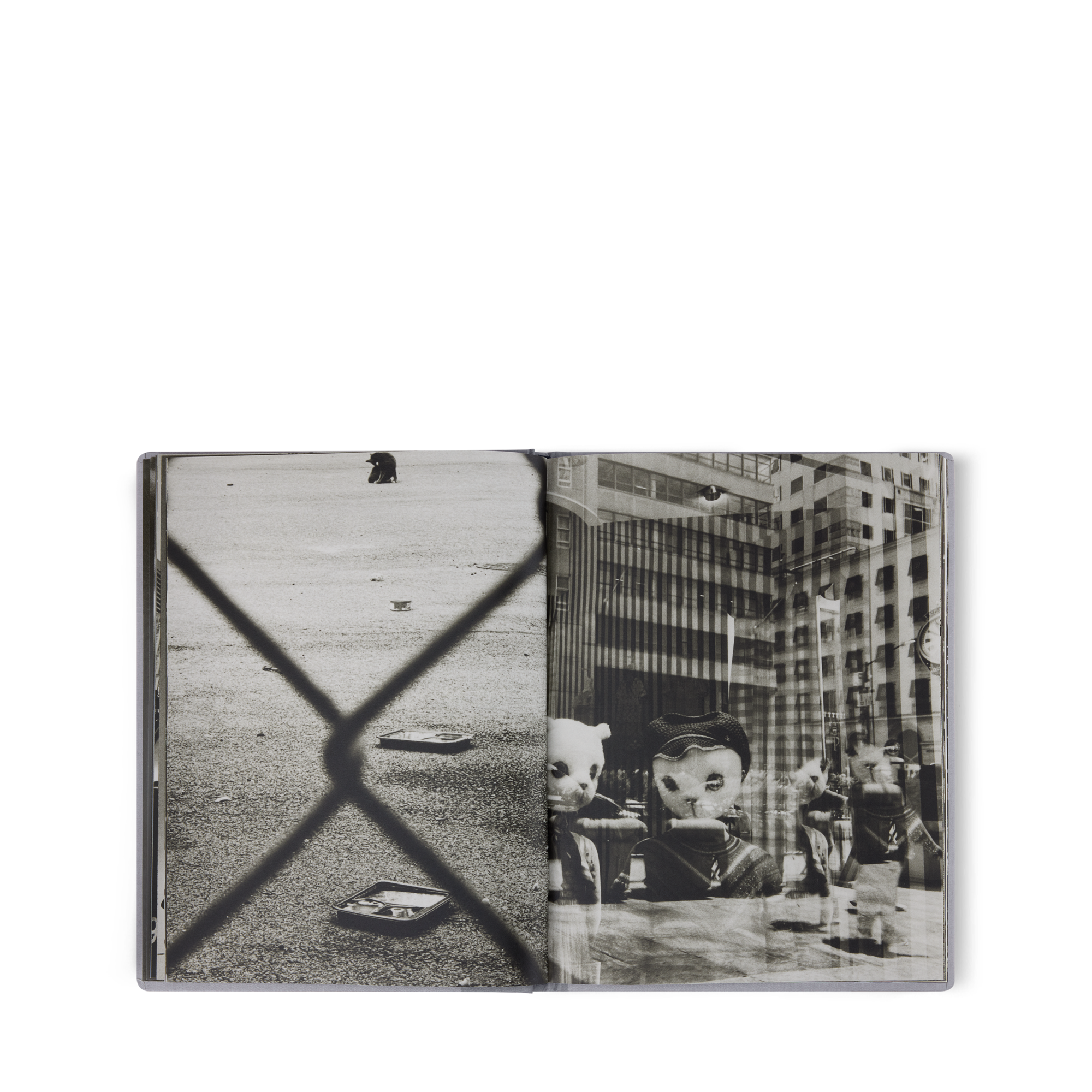 Fashion Eye New York  in Trunks, Travel and Home