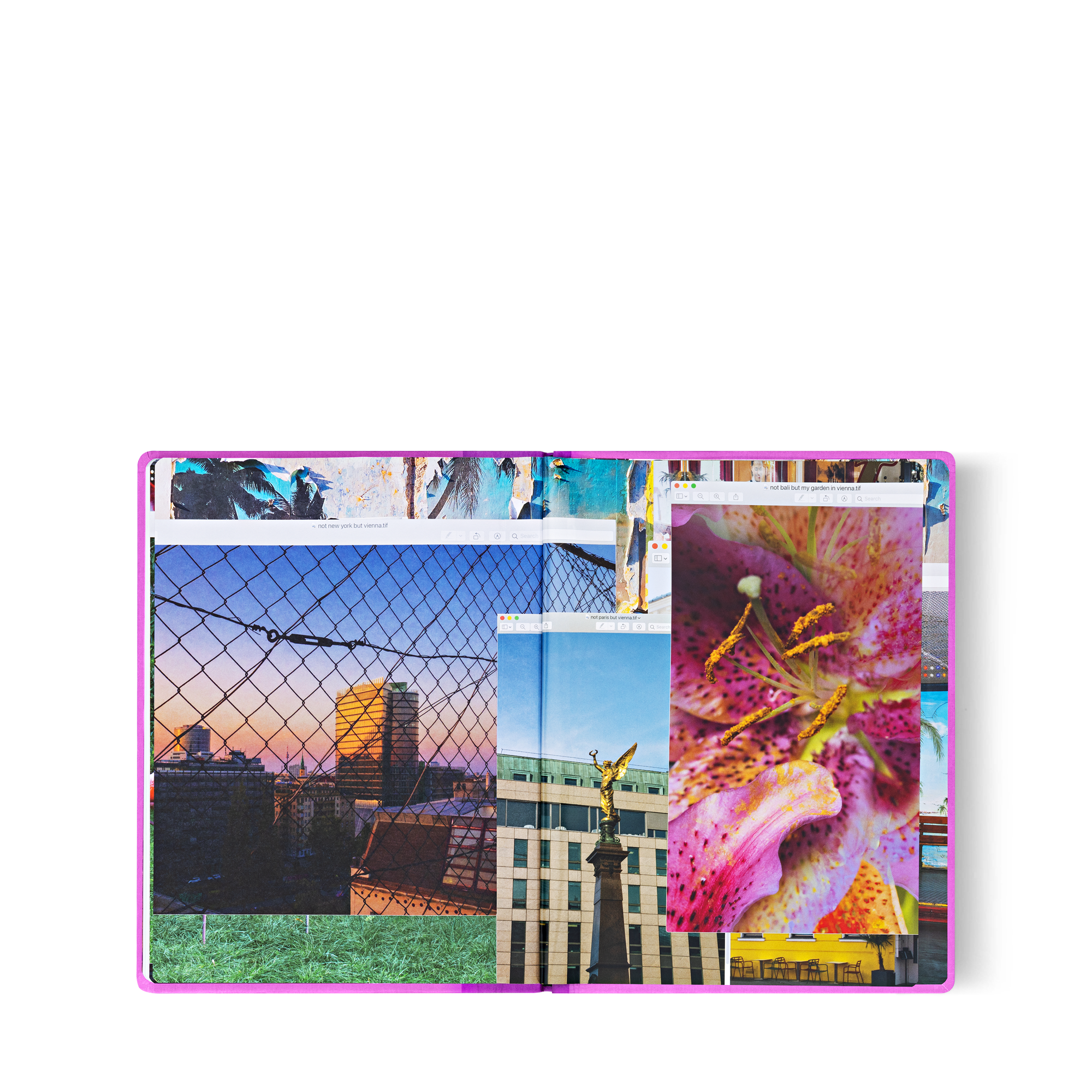 Fashion Eye Vienna  in Trunks, Travel and Home