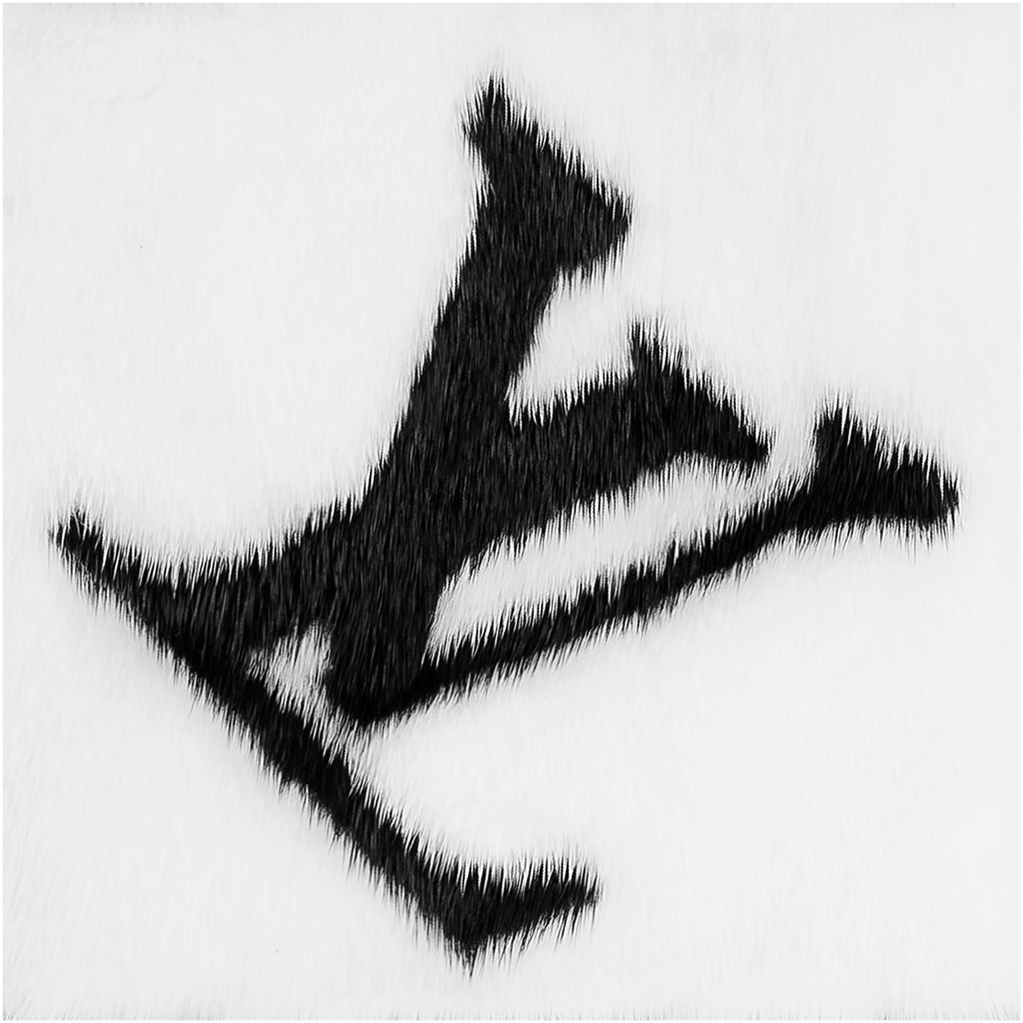 Gogram Fur Scarf S00 in Women