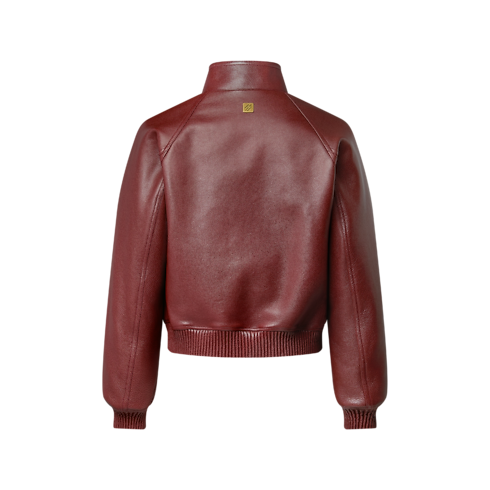 Grained Leather Jacket in Men's Ready to Wear Outerwear and Coats collections by Louis Vuitton (Product zoom)