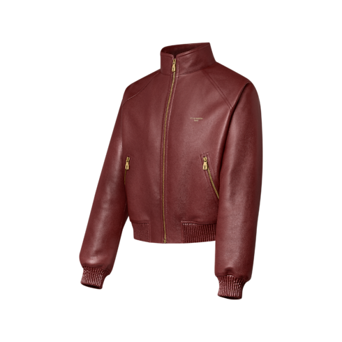 Grained Leather Jacket in Men's Ready to Wear Outerwear and Coats collections by Louis Vuitton (Product zoom)