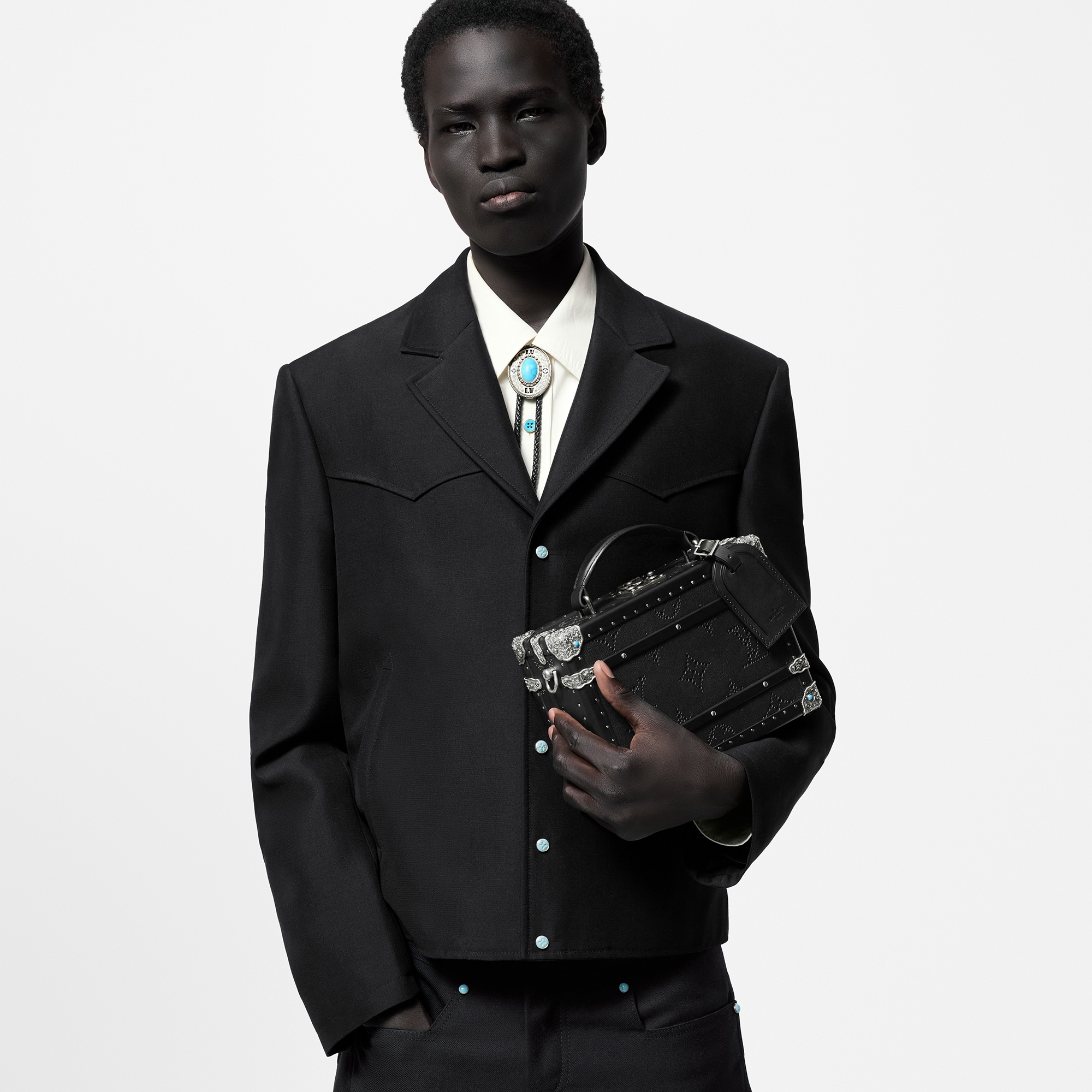 Handle Trunk LV Dart Other Leathers in Les Extraordinaires