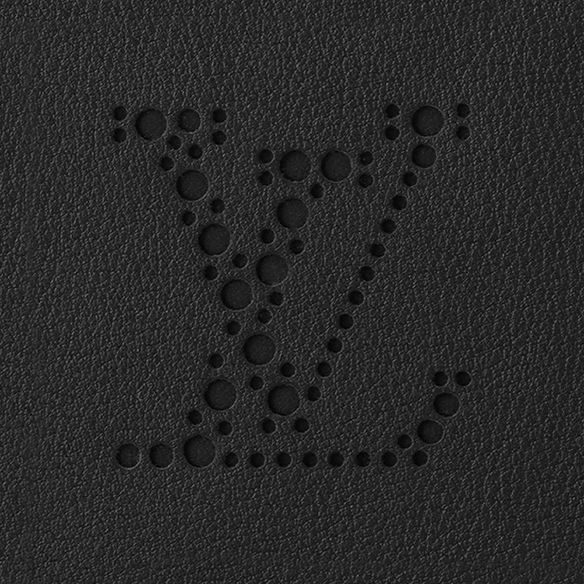 Handle Trunk LV Dart Other Leathers in Les Extraordinaires