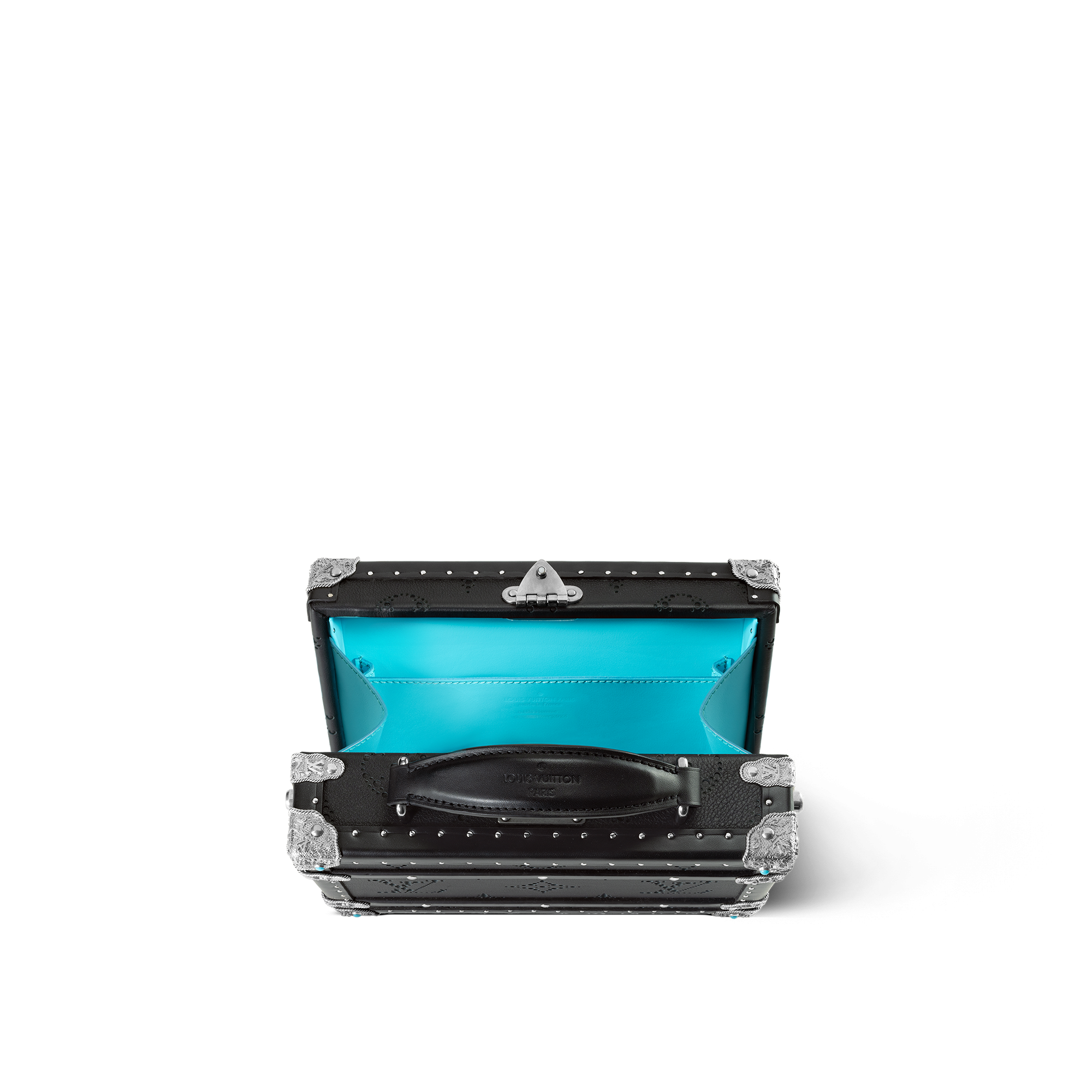 Handle Trunk LV Dart Other Leathers in Les Extraordinaires