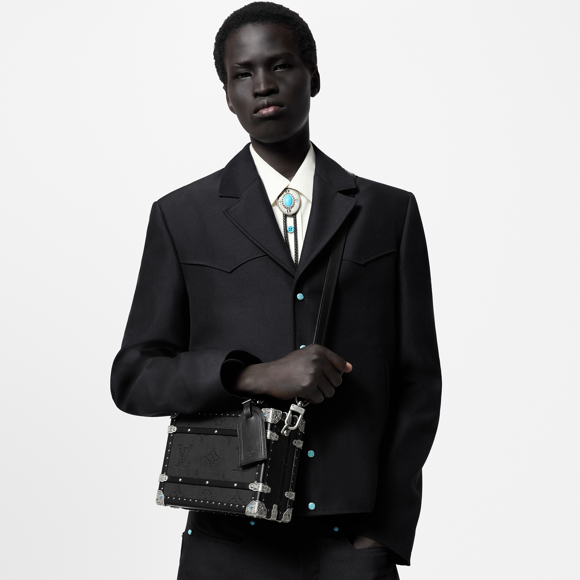 Handle Trunk LV Dart Other Leathers in Les Extraordinaires