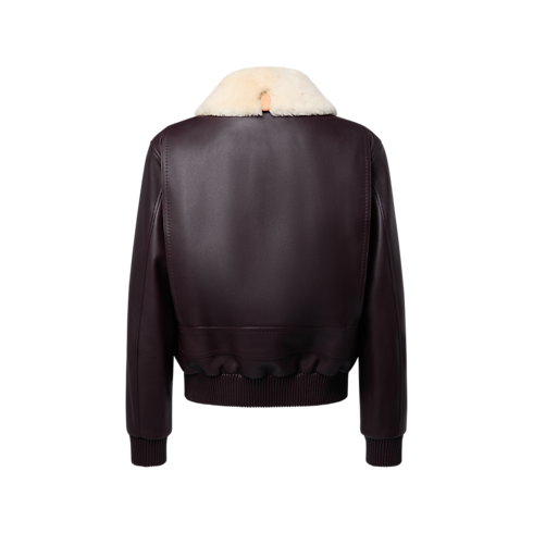 Leather Blouson With Shearling Collar in Men's Ready-to-Wear All Ready-to-Wear collections by Louis Vuitton (Product zoom)