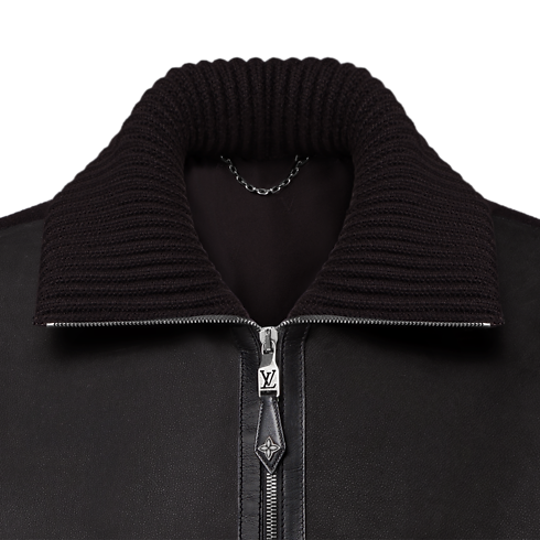 Leather Mix Blouson in Men's Ready-to-Wear All Ready-to-Wear collections by Louis Vuitton (Product zoom)
