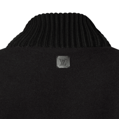 Leather Mix Blouson in Men's Ready-to-Wear All Ready-to-Wear collections by Louis Vuitton (Product zoom)