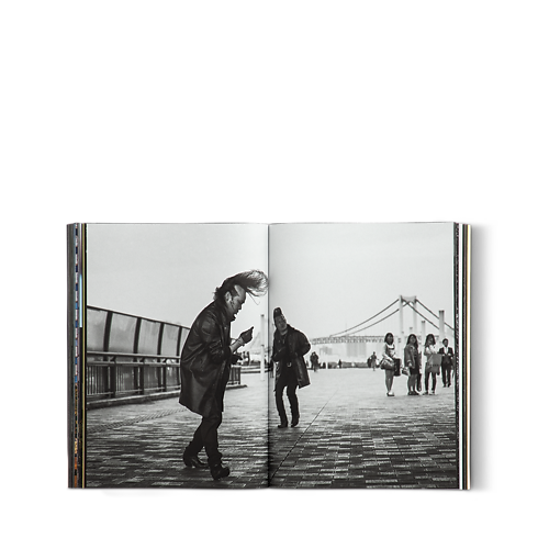 Limited Edition - Cities On Earth in Trunks, Travel and Home's Library City Guides collections by Louis Vuitton (Product zoom)