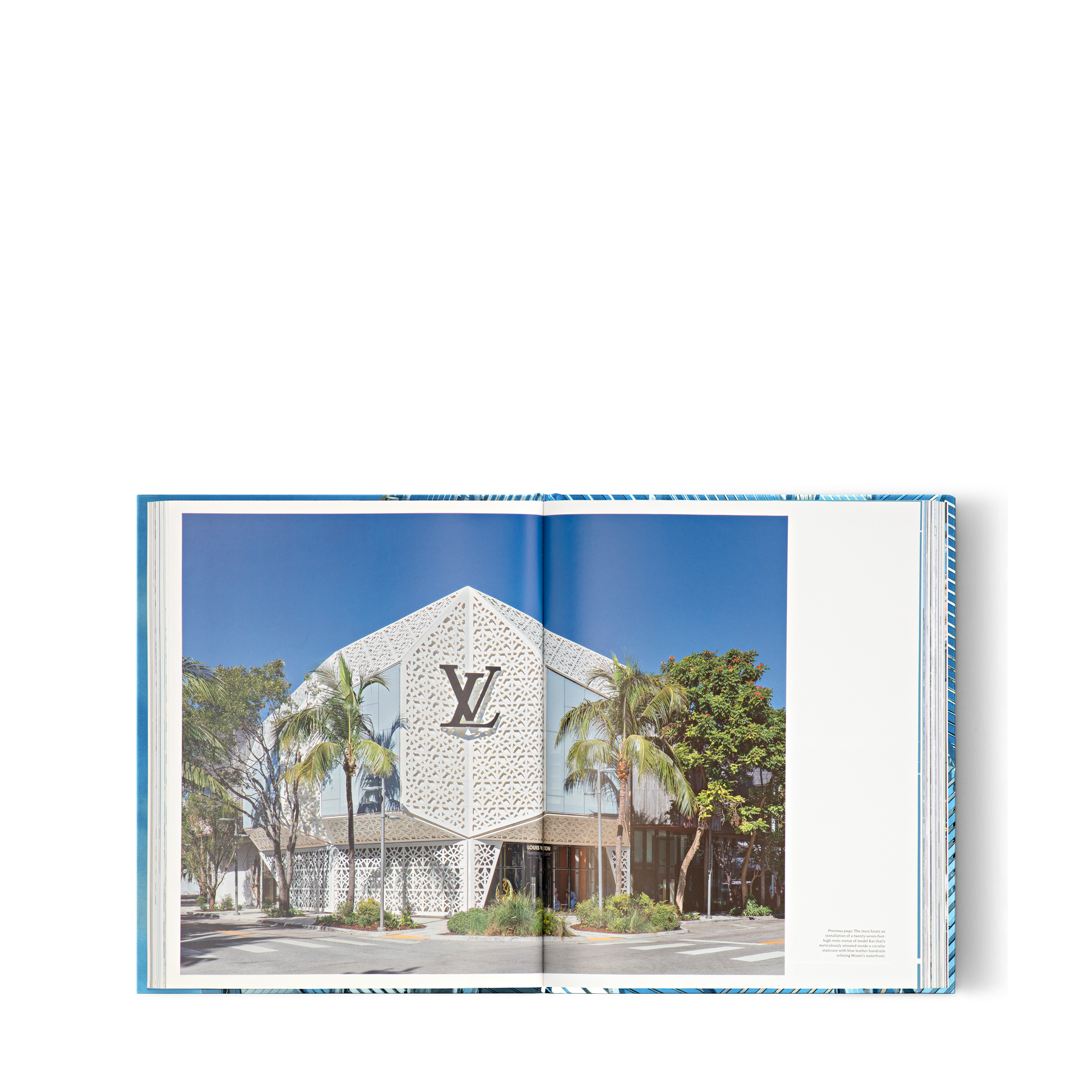 Louis Vuitton Skin: Architecture of Luxury Beijing  in Trunks, Travel and Home