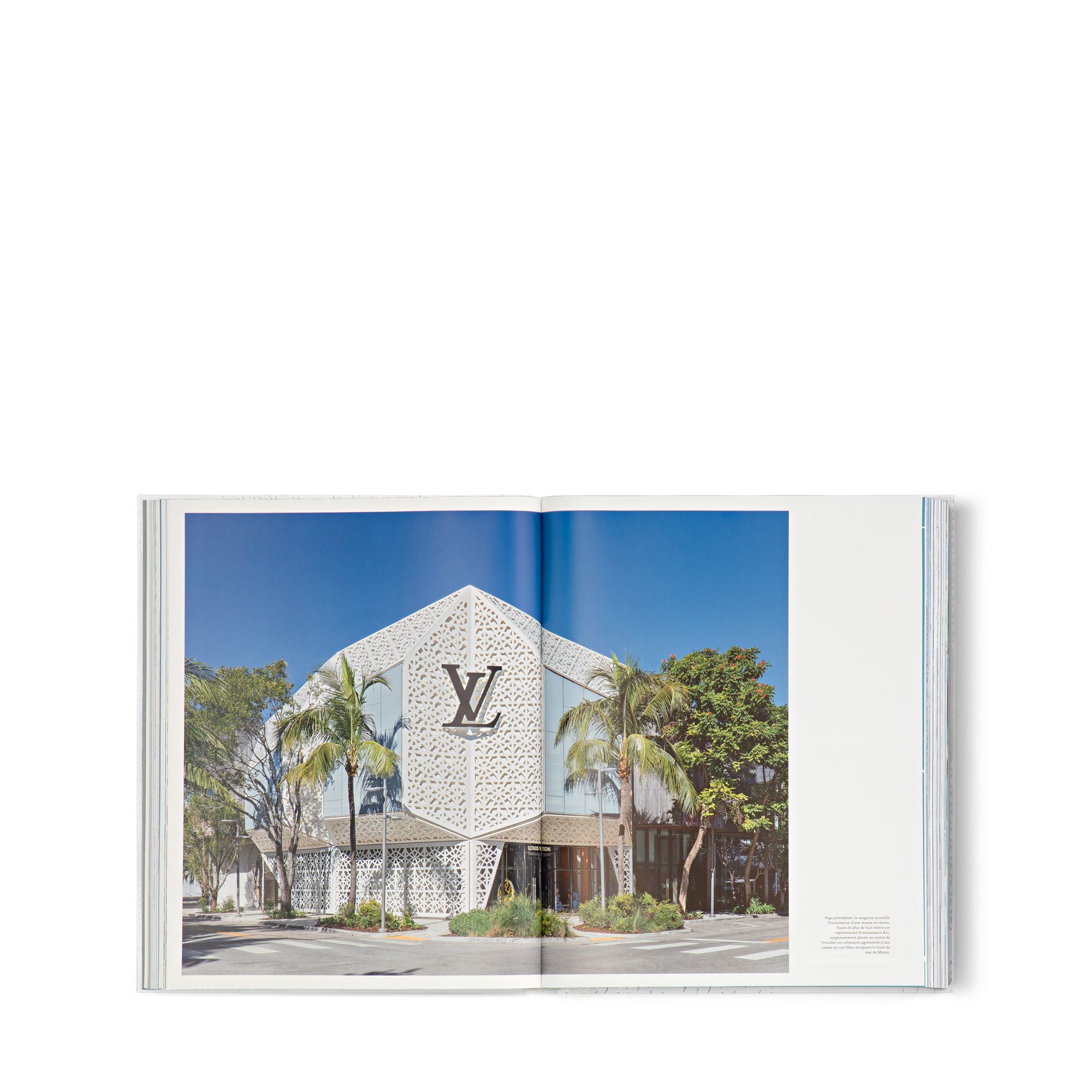 Louis Vuitton Skin: Architecture of Luxury NYC  in Trunks, Travel and Home