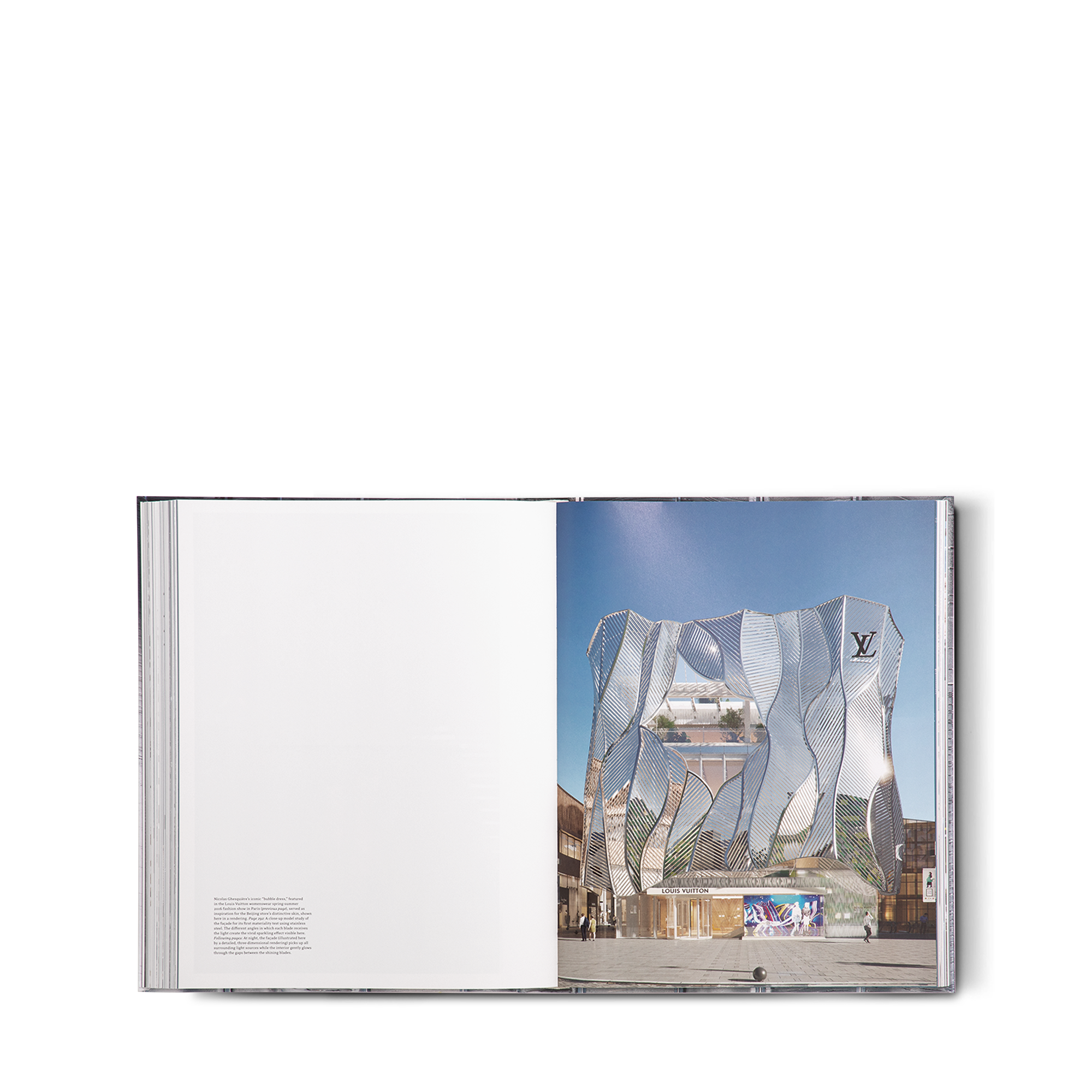 Louis Vuitton Skin: Architecture of Luxury Singapore  in Trunks, Travel and Home