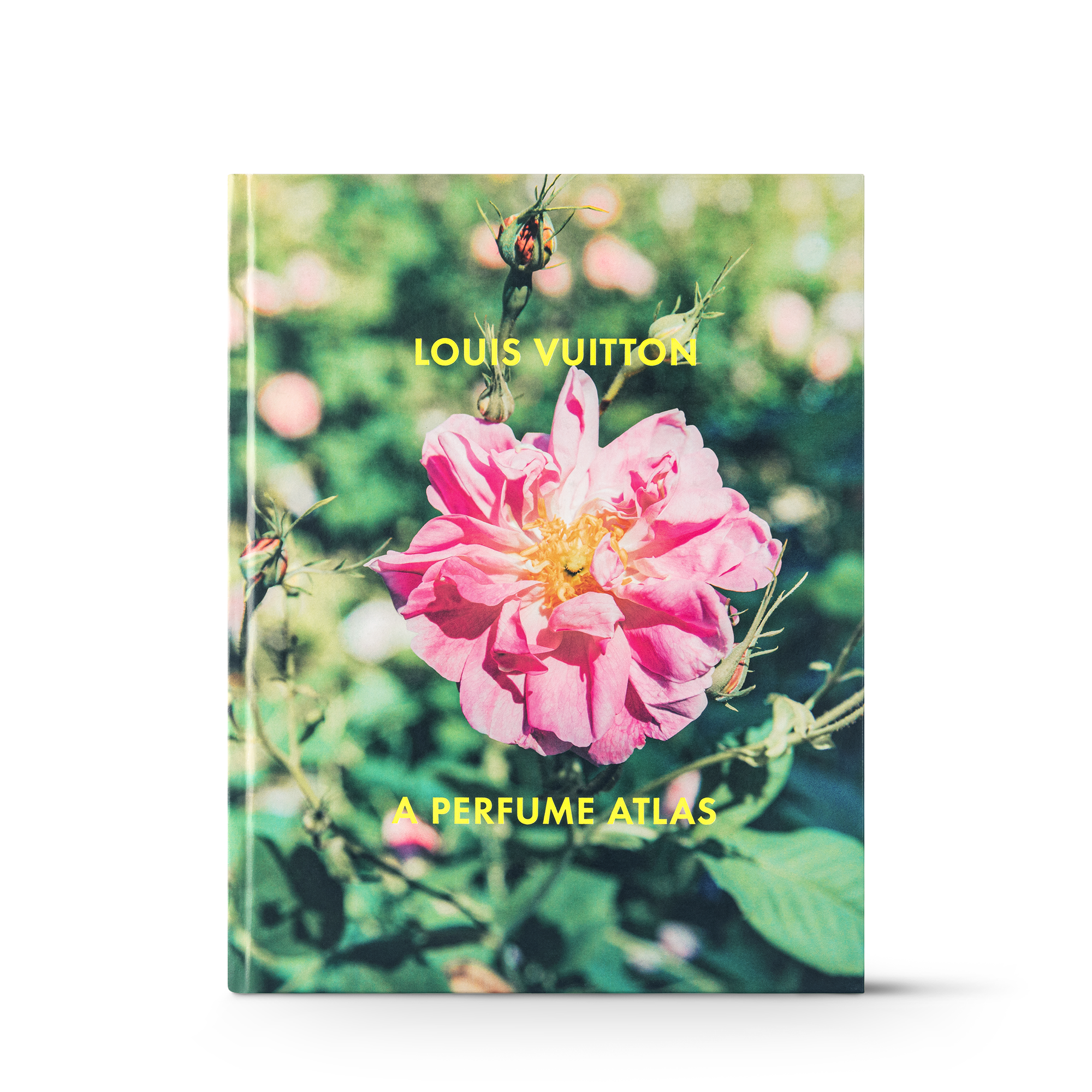 Louis Vuitton: A Perfume Atlas, English Version  in Trunks, Travel and Home