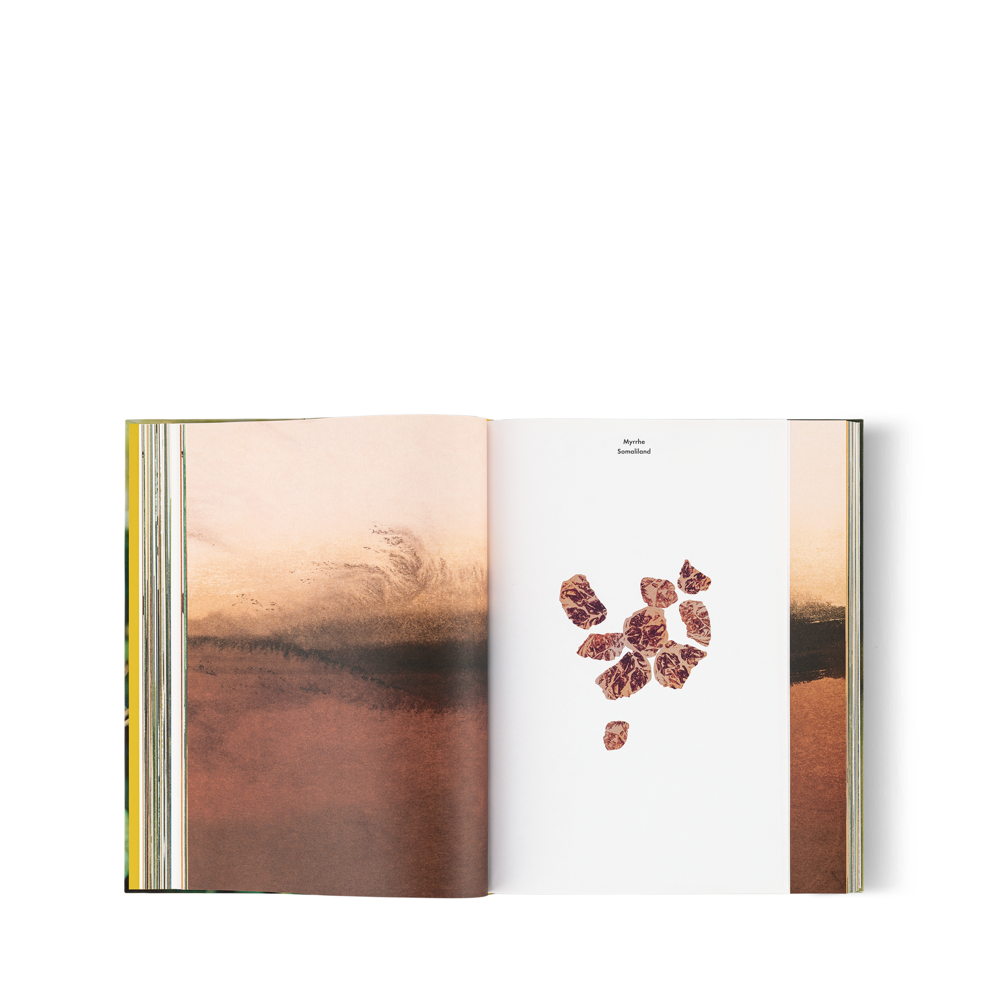 Louis Vuitton: A Perfume Atlas, French Version  in Trunks, Travel and Home