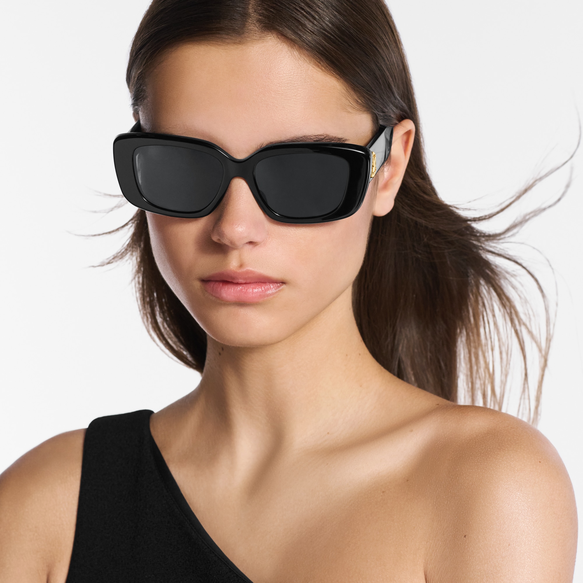 LV Circle Large Cat Eye Sunglasses S00 in Women