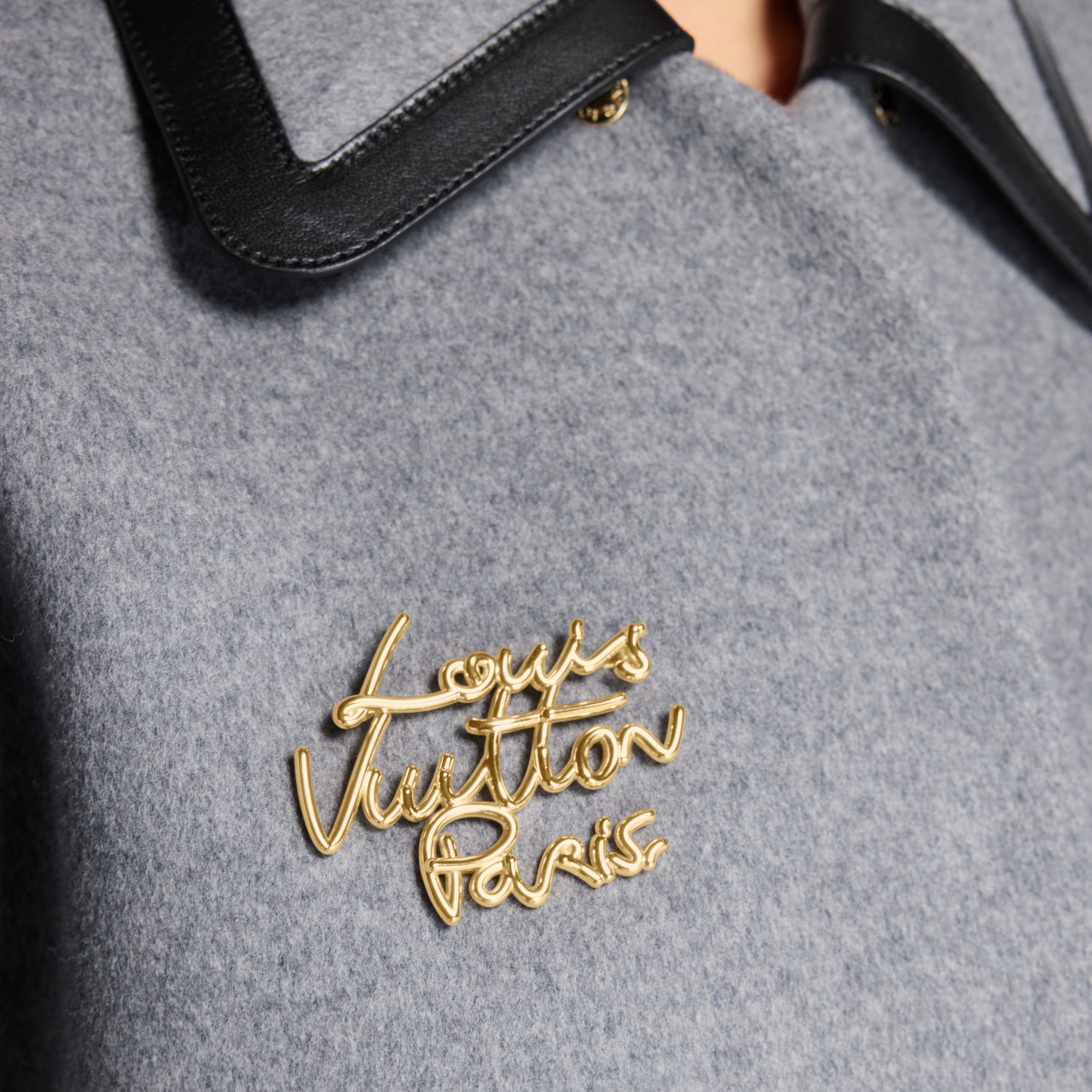 LV Script Brooch S00 in Women