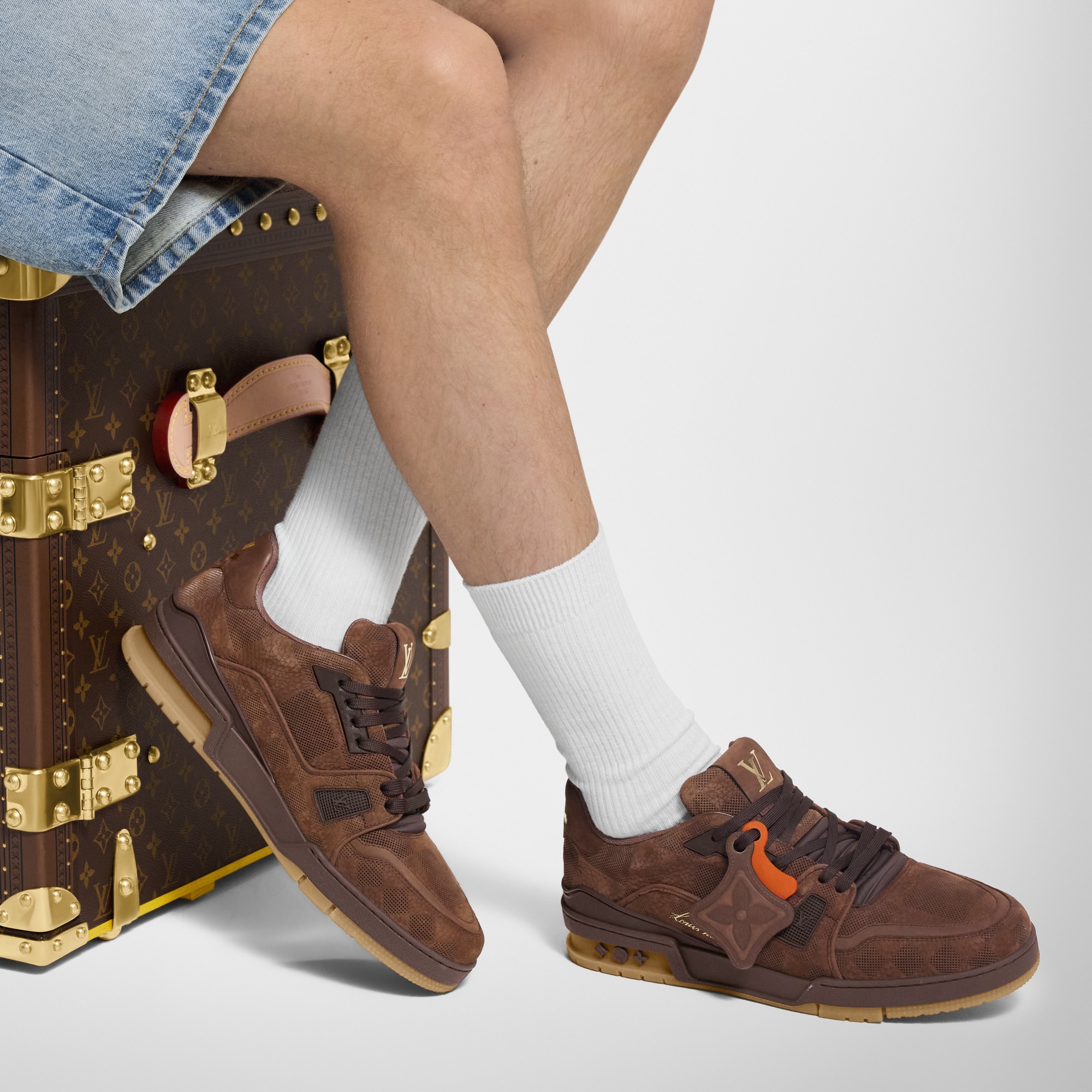 LV Trainer Sneaker  in Men