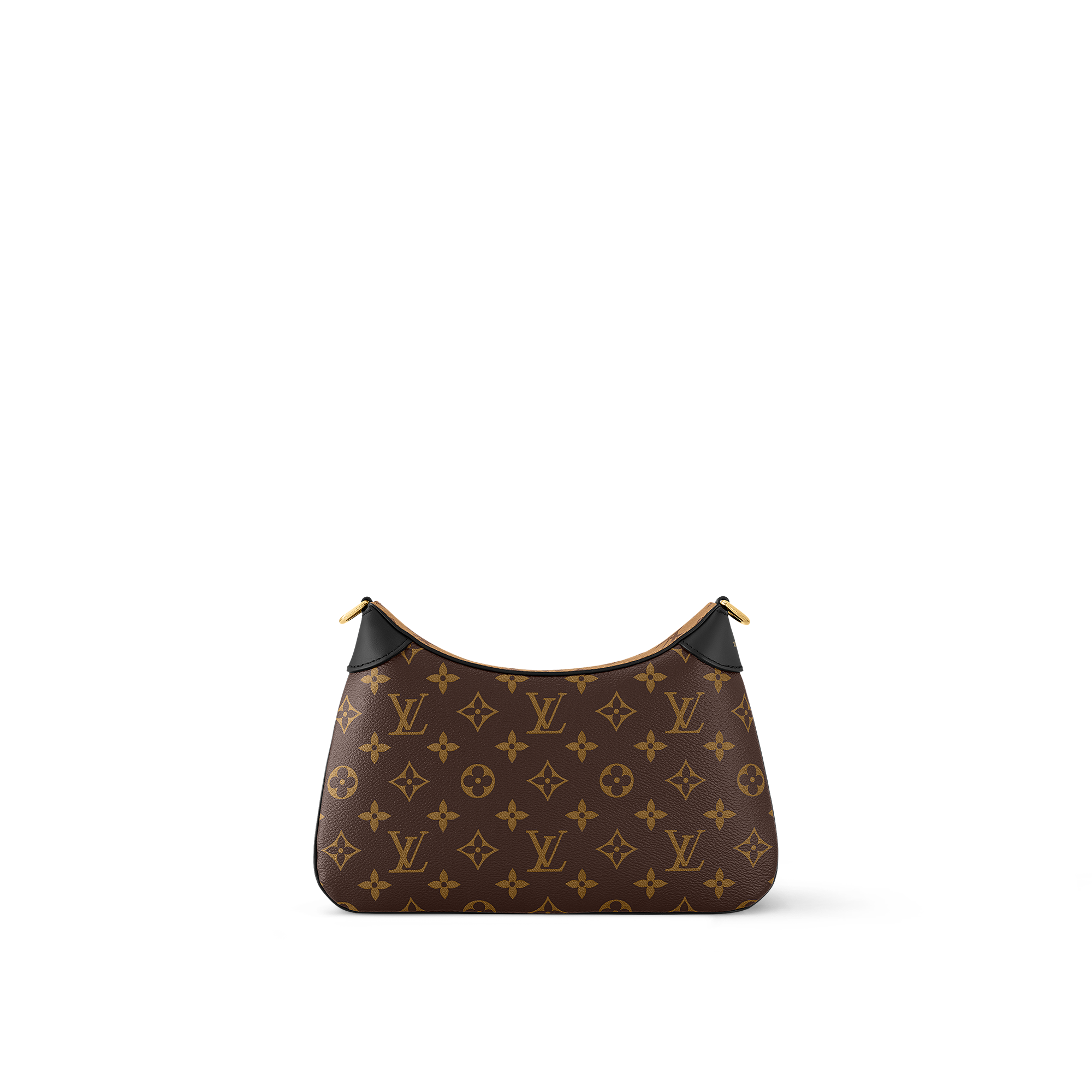 LV Twinny Other Monogram Canvas in Women