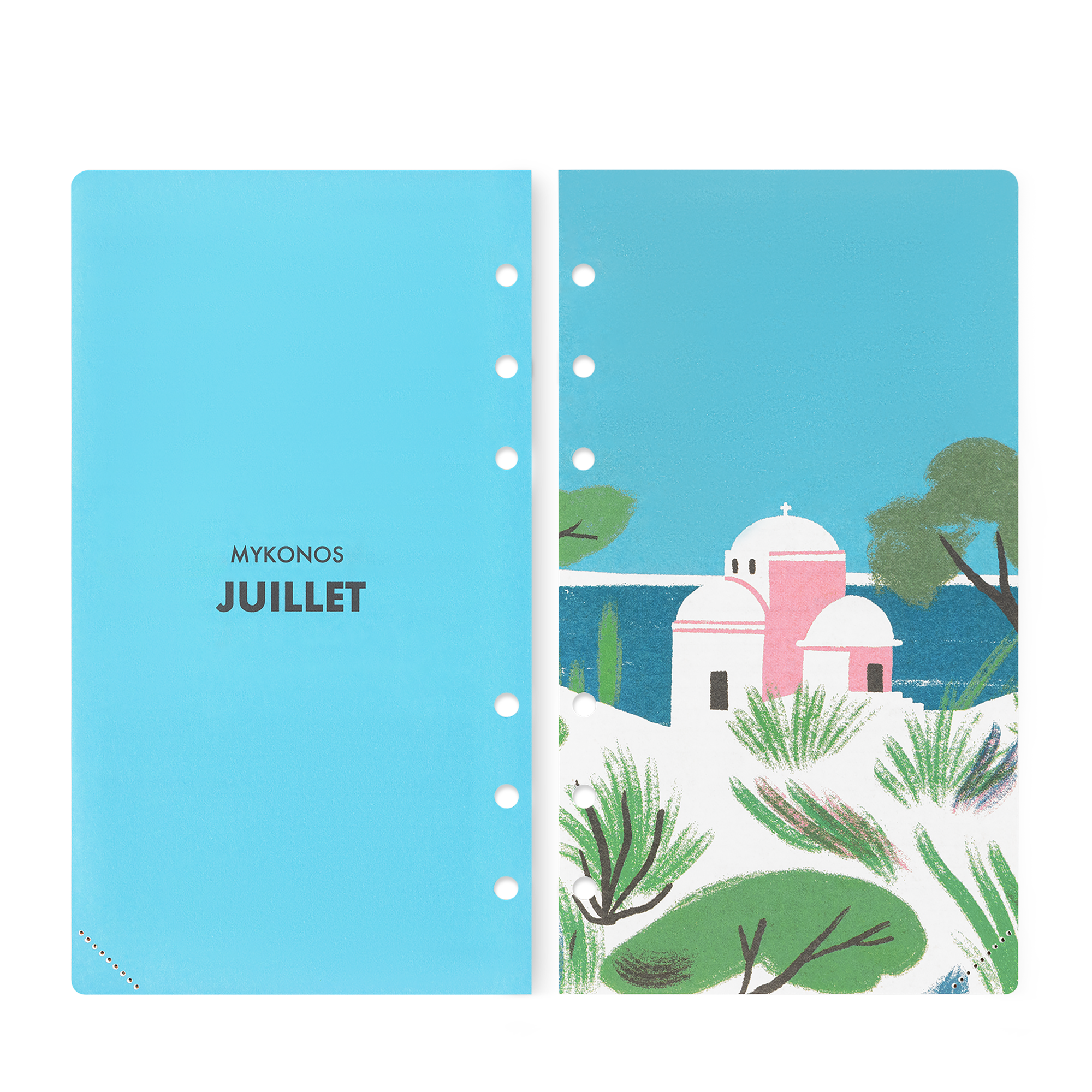 Medium Functional Weekly Agenda Refill 2025  in Trunks, Travel and Home