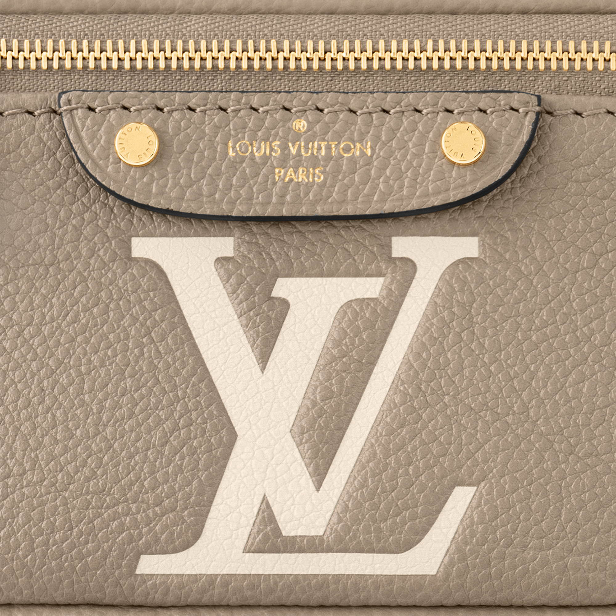 Mini Bumbag Bicolor Monogram Empreinte Leather in Women