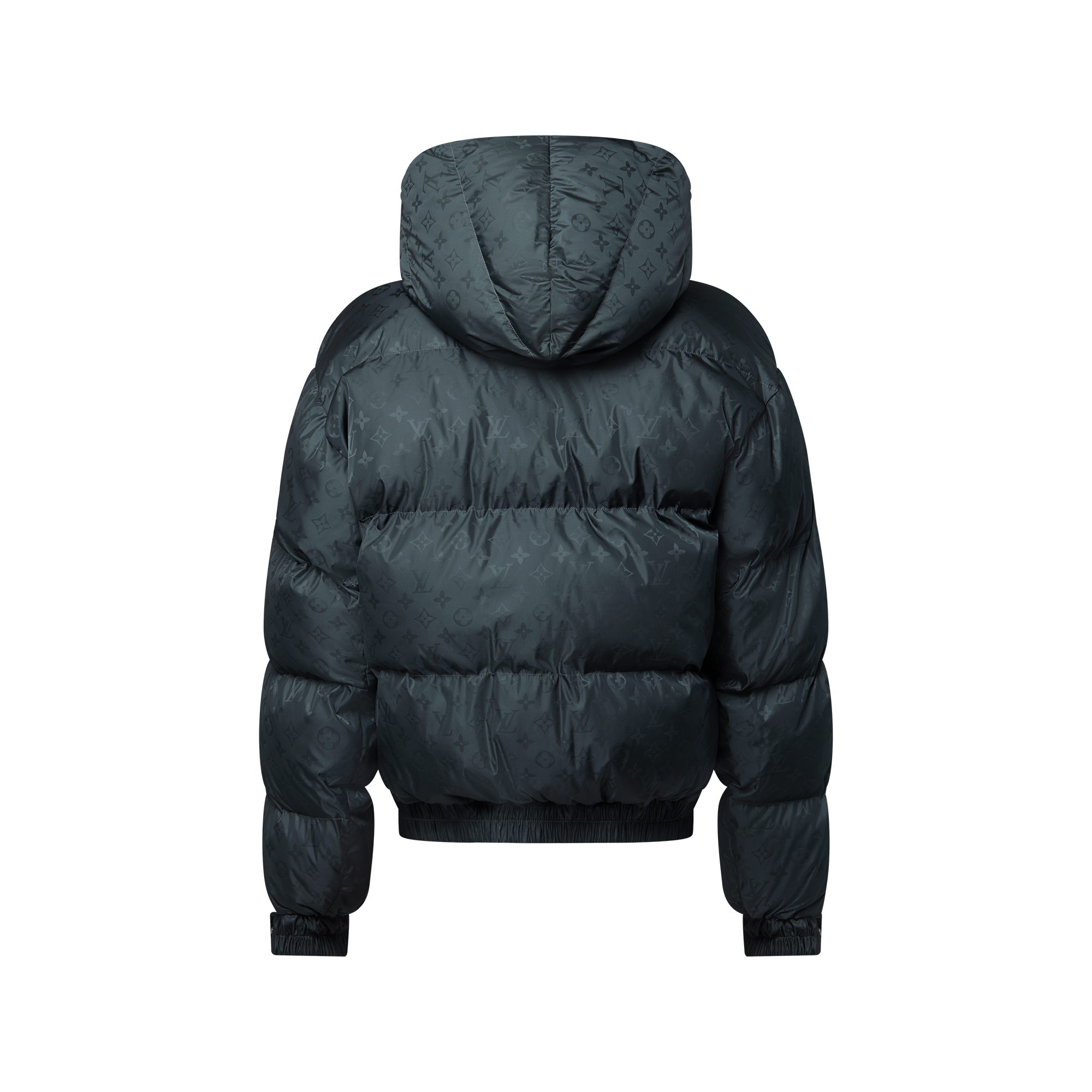 Monogram Down Jacket  in Men