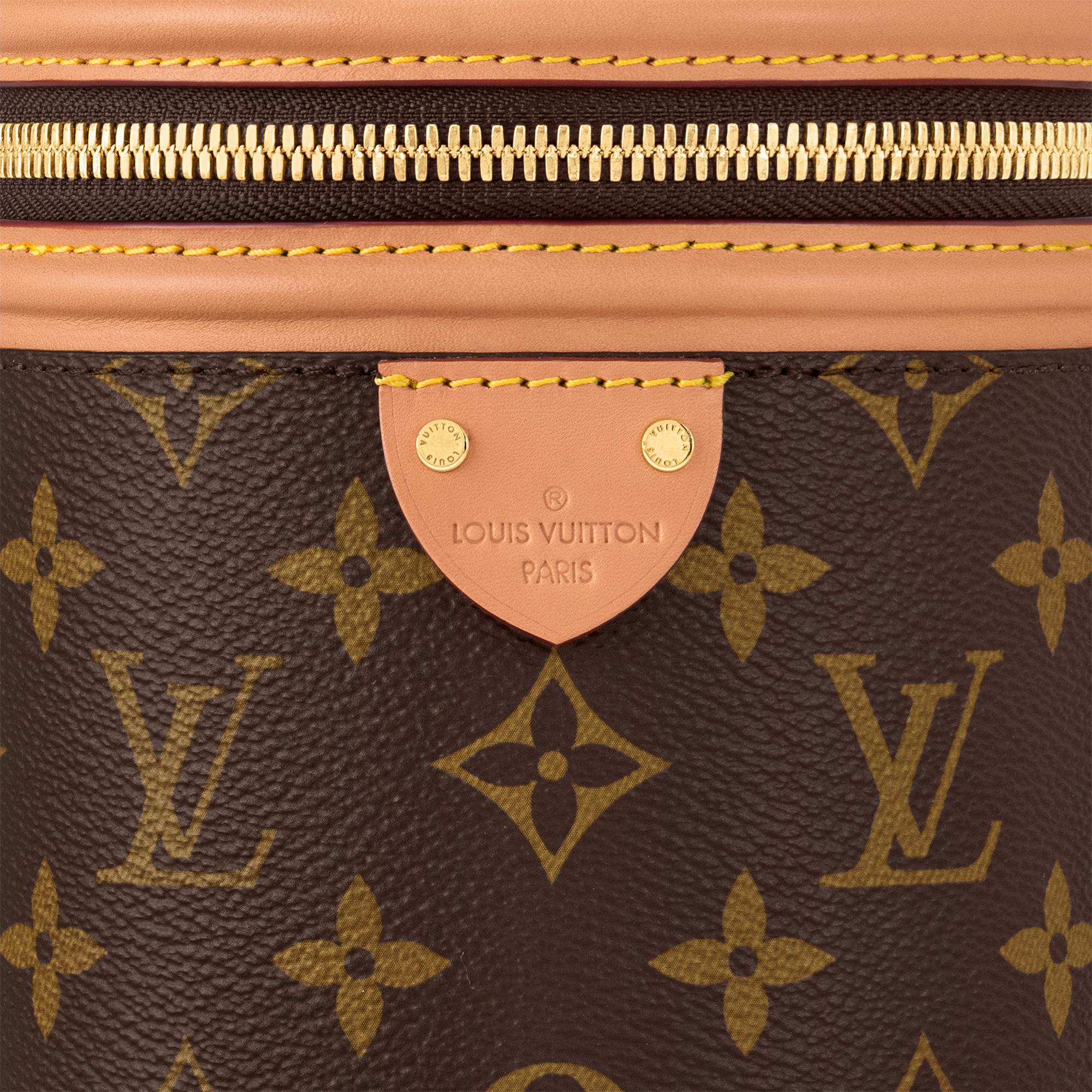 Nano Cannes Monogram Canvas in Women