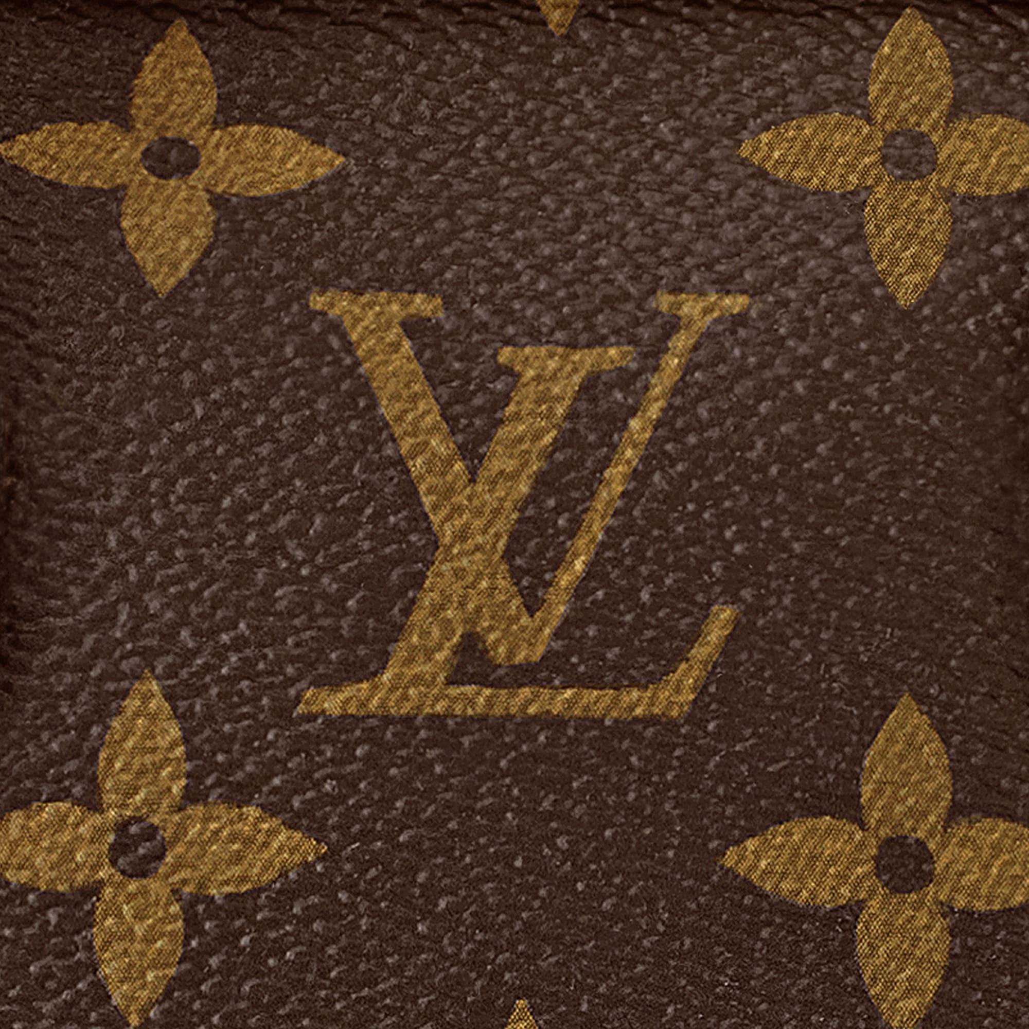 Neverfull BB Monogram Canvas in Women